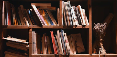 A cozy rustic pine bookshelf filled with books and small plants in a warm living room setting