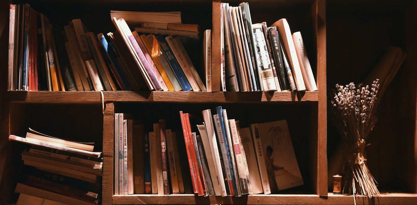 A finished DIY wooden bookshelf anchored to a living room wall, filled with books and a few decorative items, warm afternoon light, a cozy reading corner