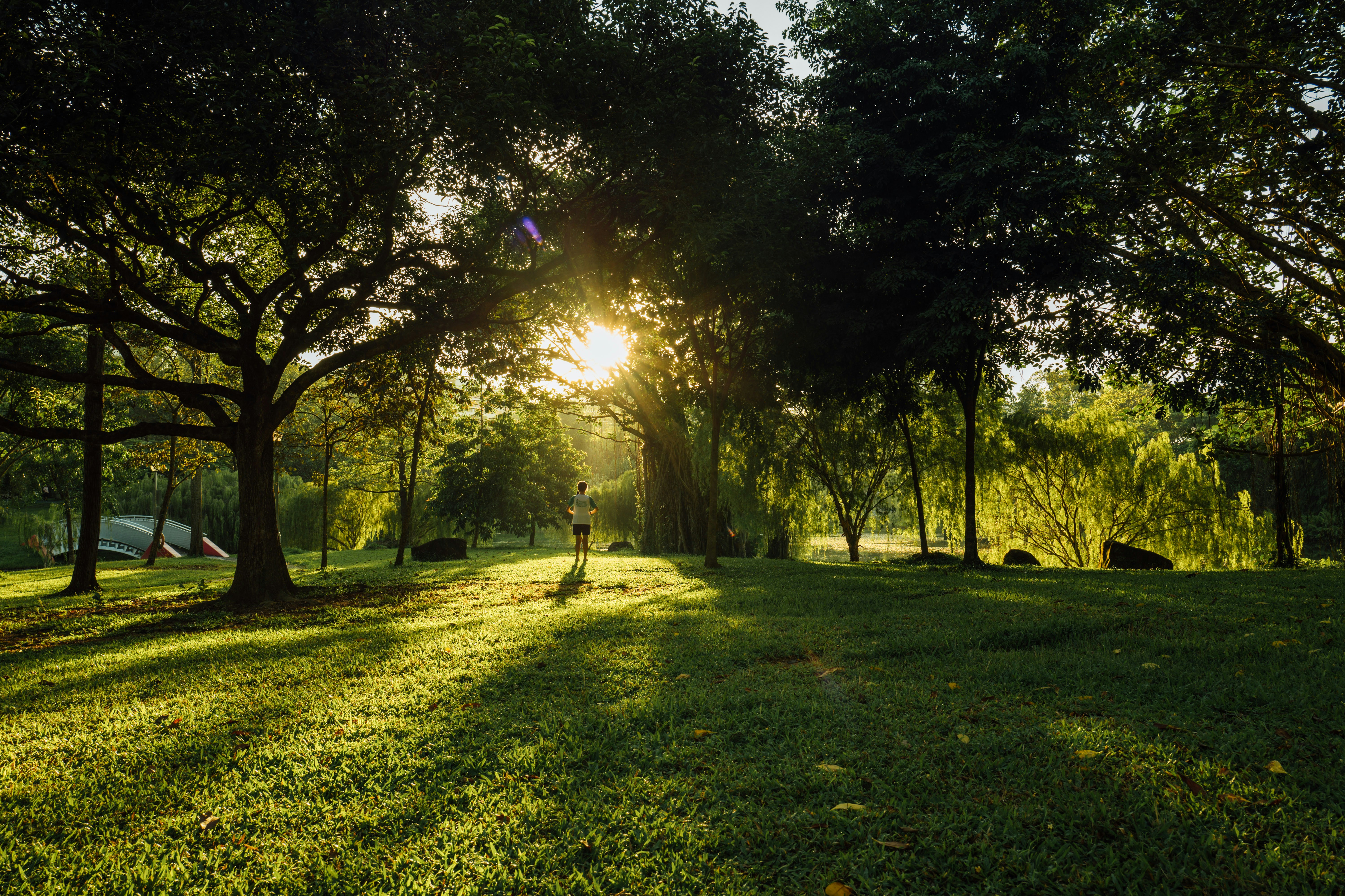 Photo by chuttersnap