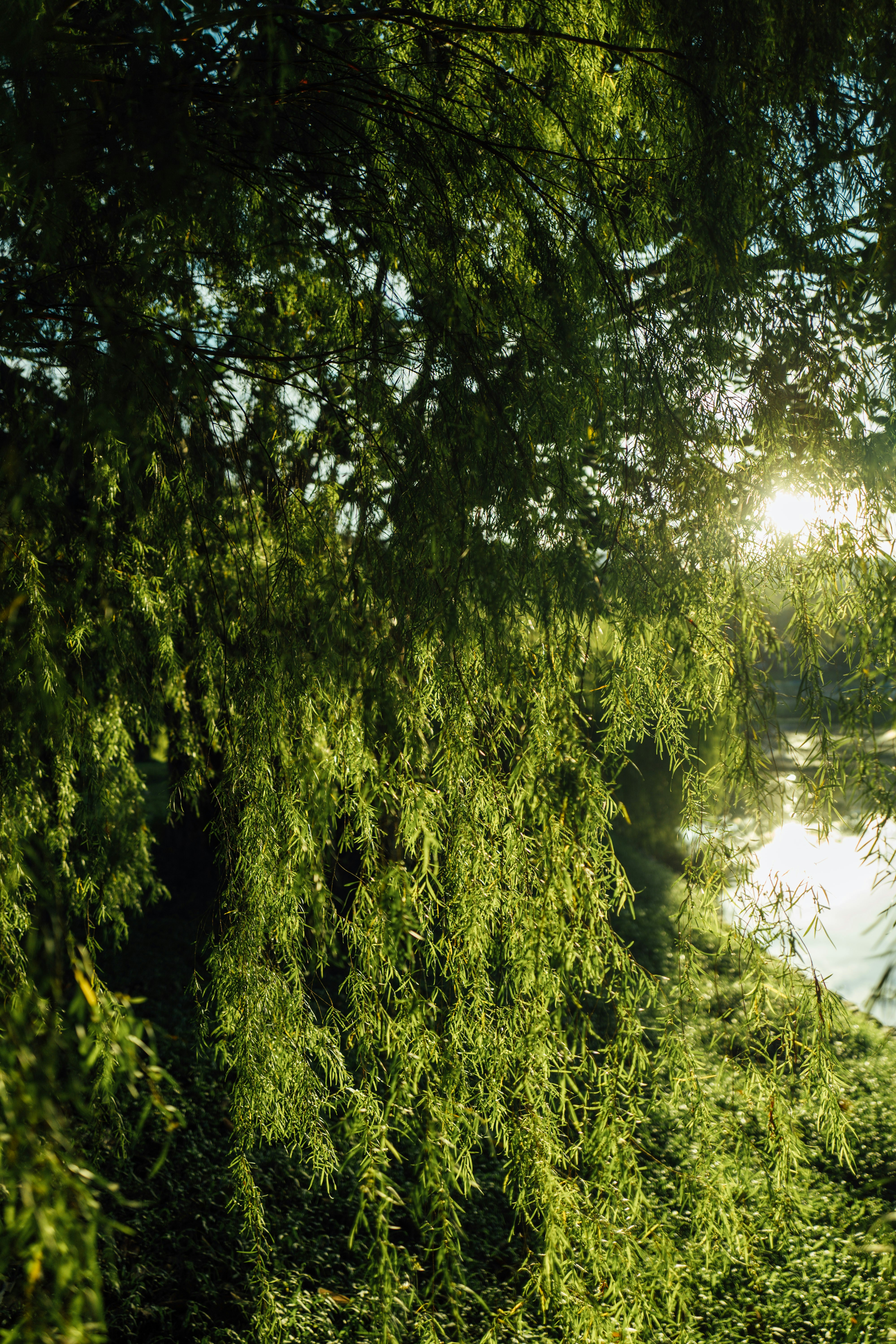 Photo by chuttersnap