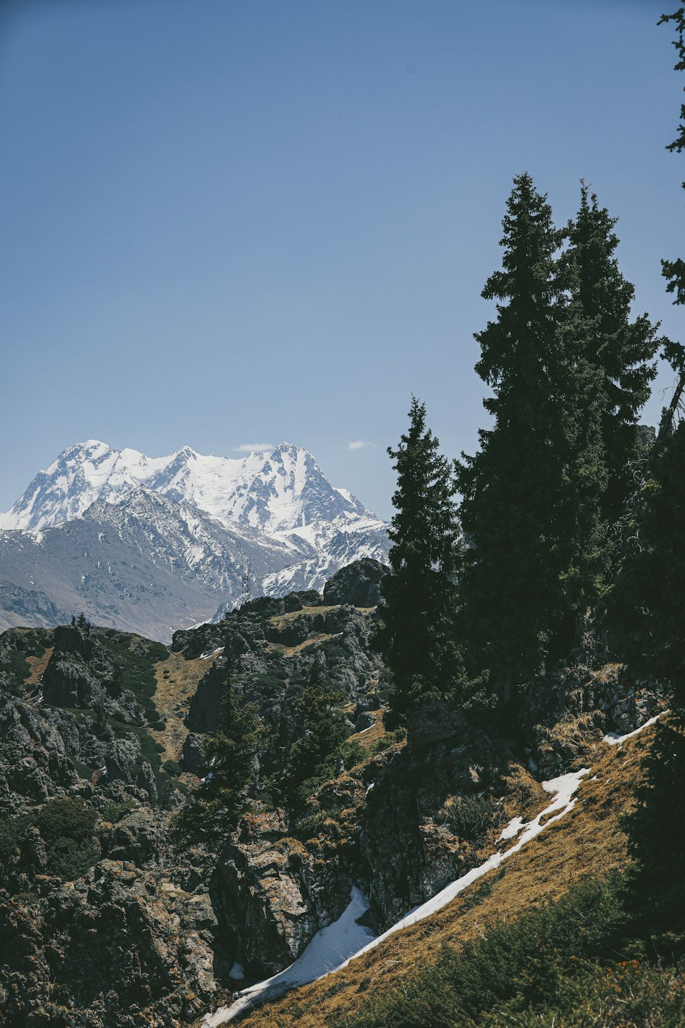 green trees near snow covered mountain during daytime