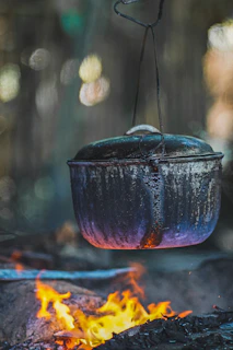 Rustic wood fire with flames gently licking a cast iron pot