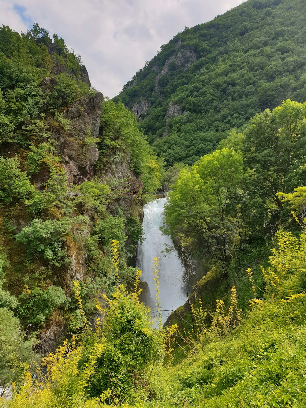 green trees and river during daytime