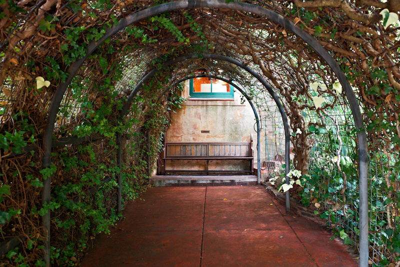 elegant concrete hallway with green plants