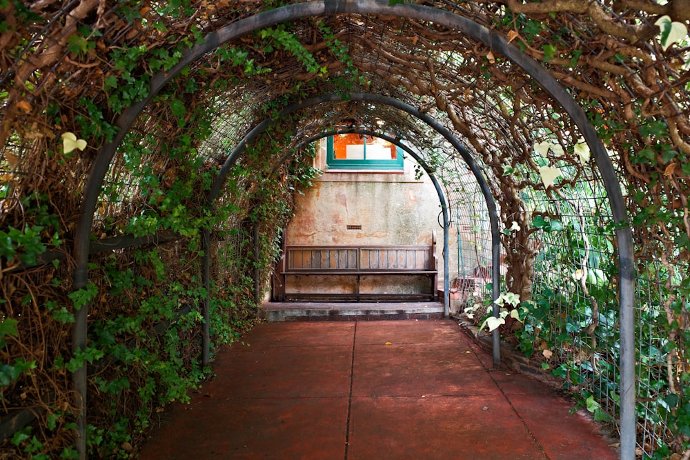 Couloir en béton brun avec des plantes vertes