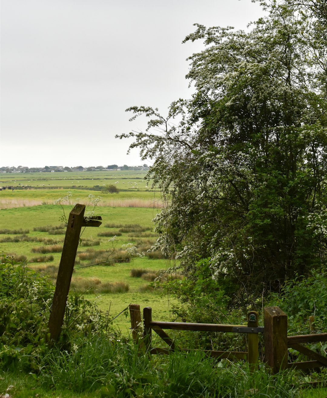 brown wooden fence on green grass field during daytime