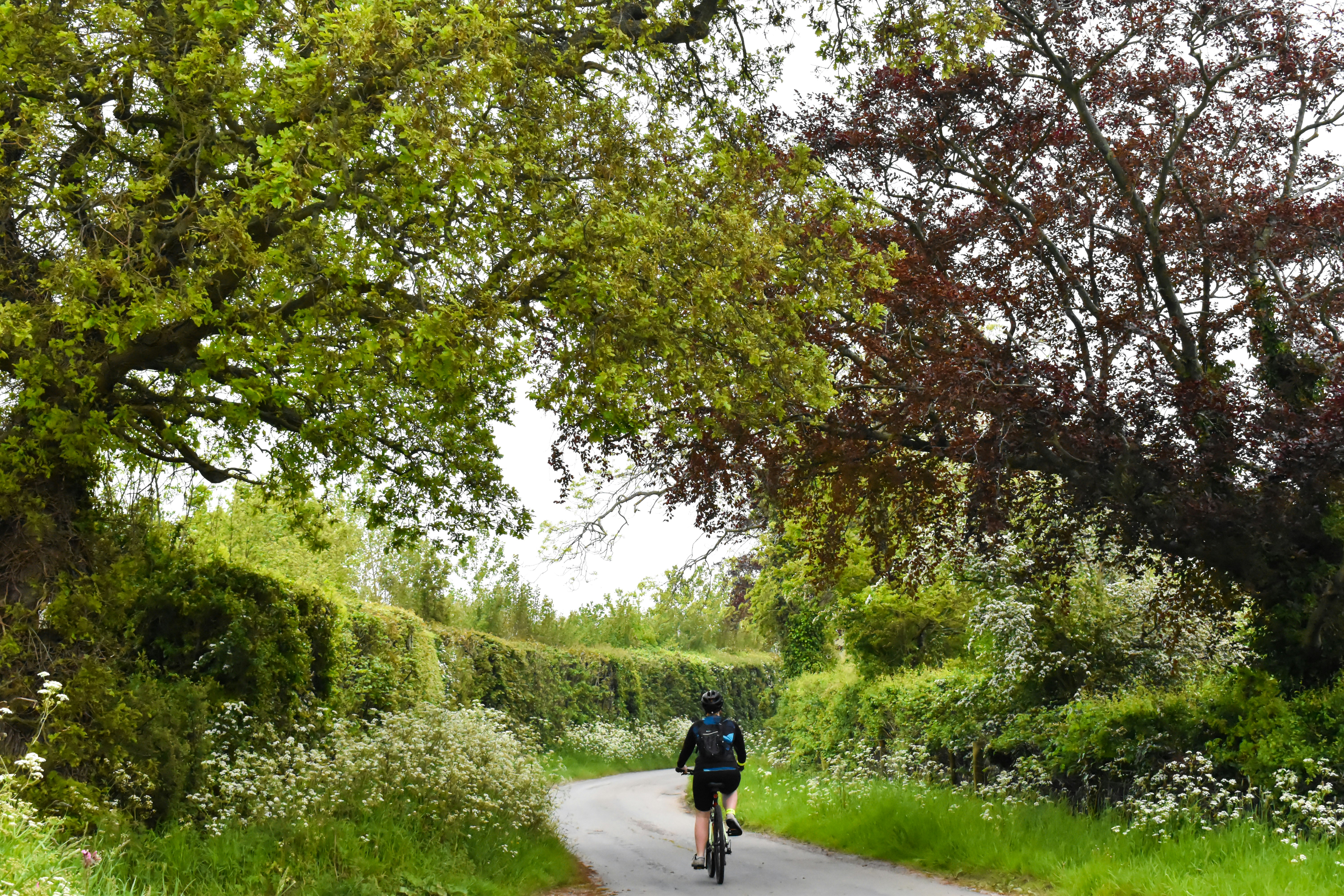 man in black shirt and black pants walking on pathway between green grass and trees during