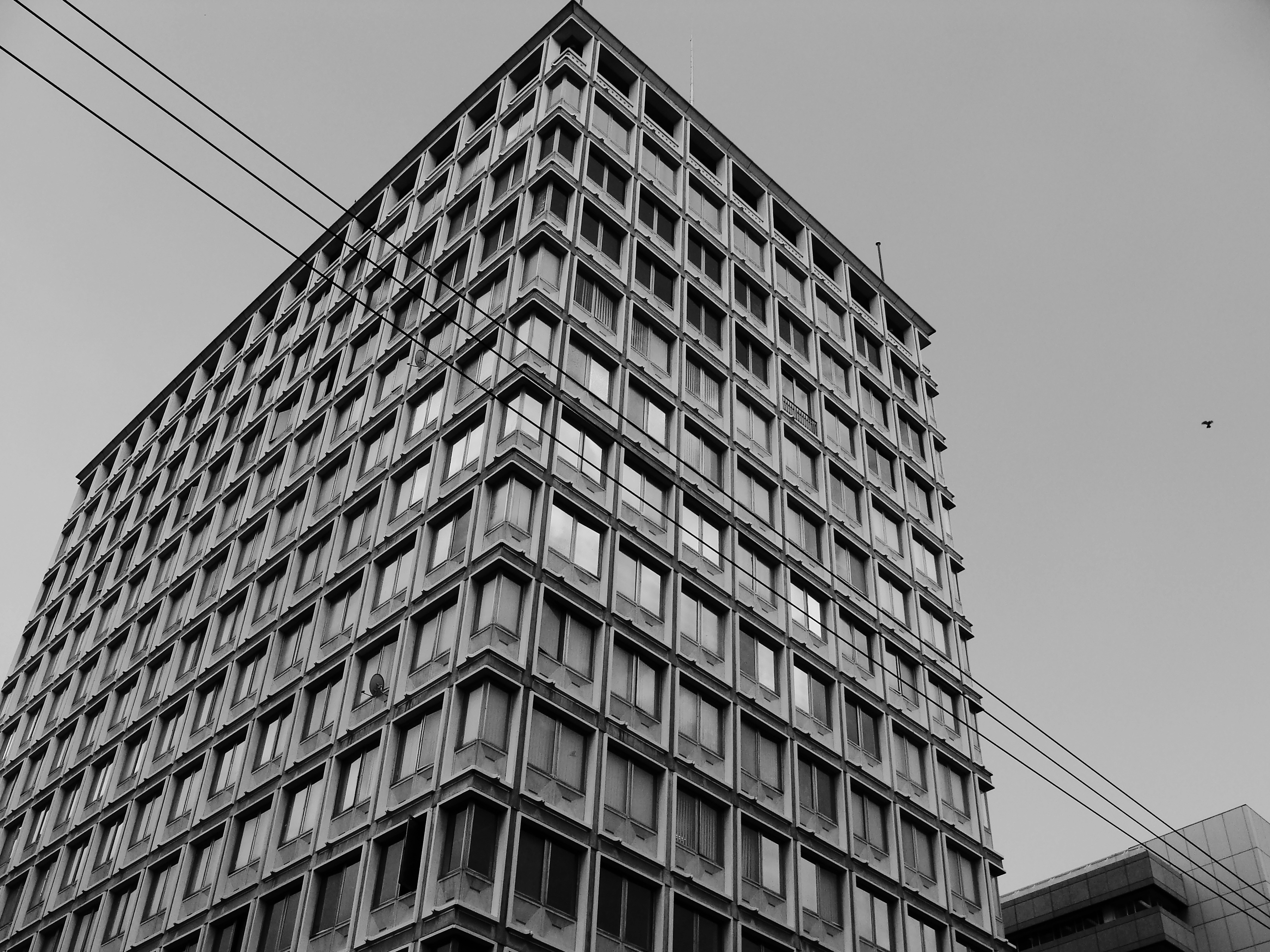 Photo by henniestander