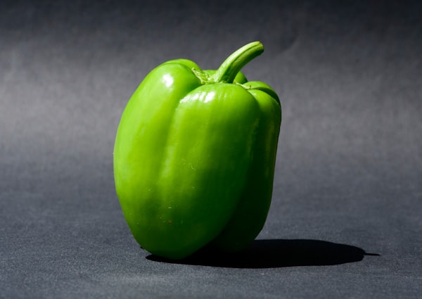 A fresh green bell pepper photographed with a grey backdrop. 