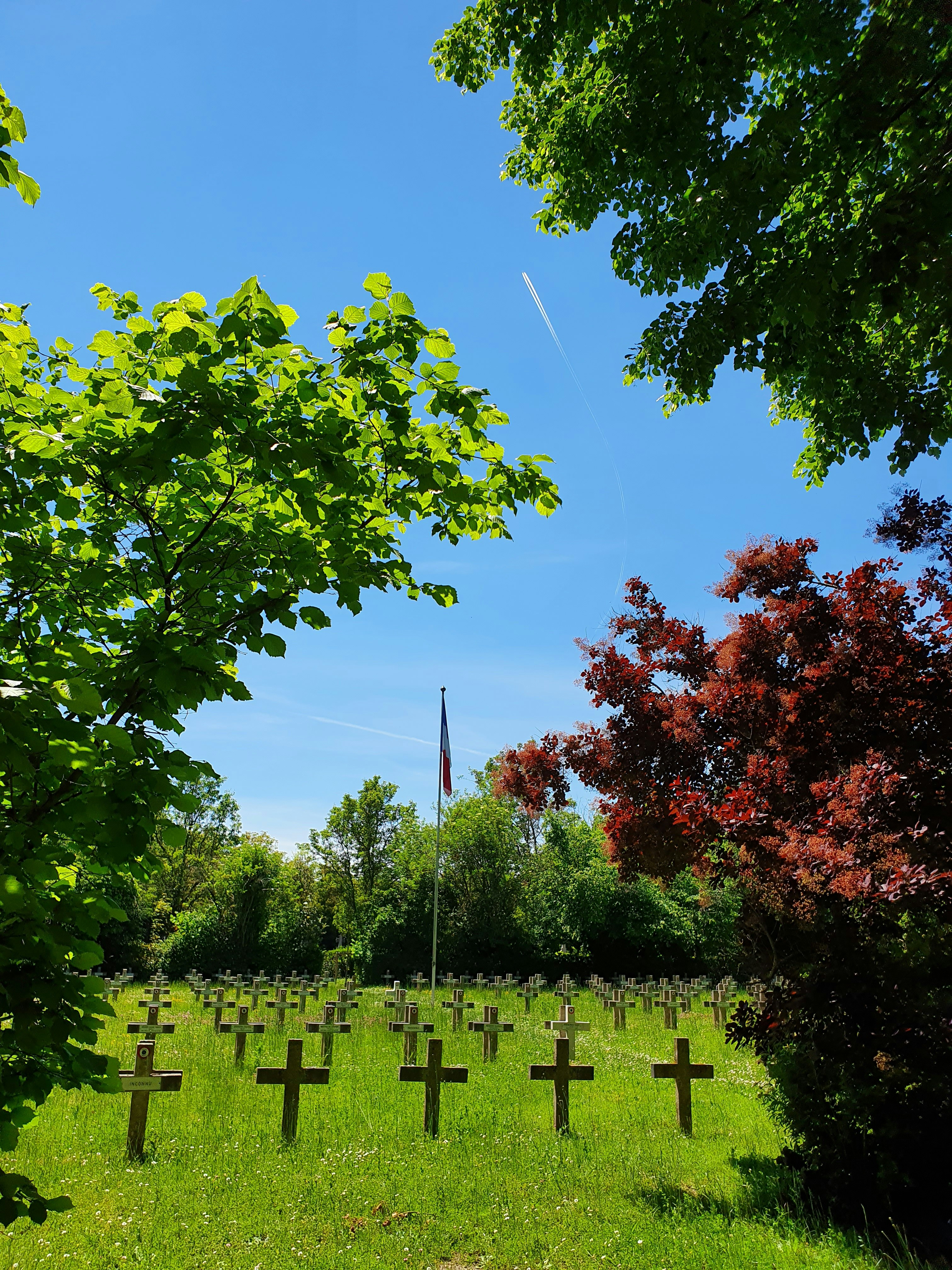 a cemetery with crosses in the grass under a blue sky