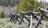 A wooden fence made of overlapping logs stretches diagonally across a grassy field, leading toward a backdrop of tall trees. The fence is rustic and weathered, blending harmoniously with the natural surroundings.