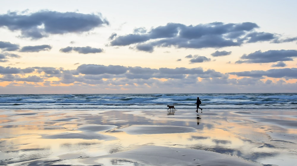 persone sulla spiaggia durante il tramonto