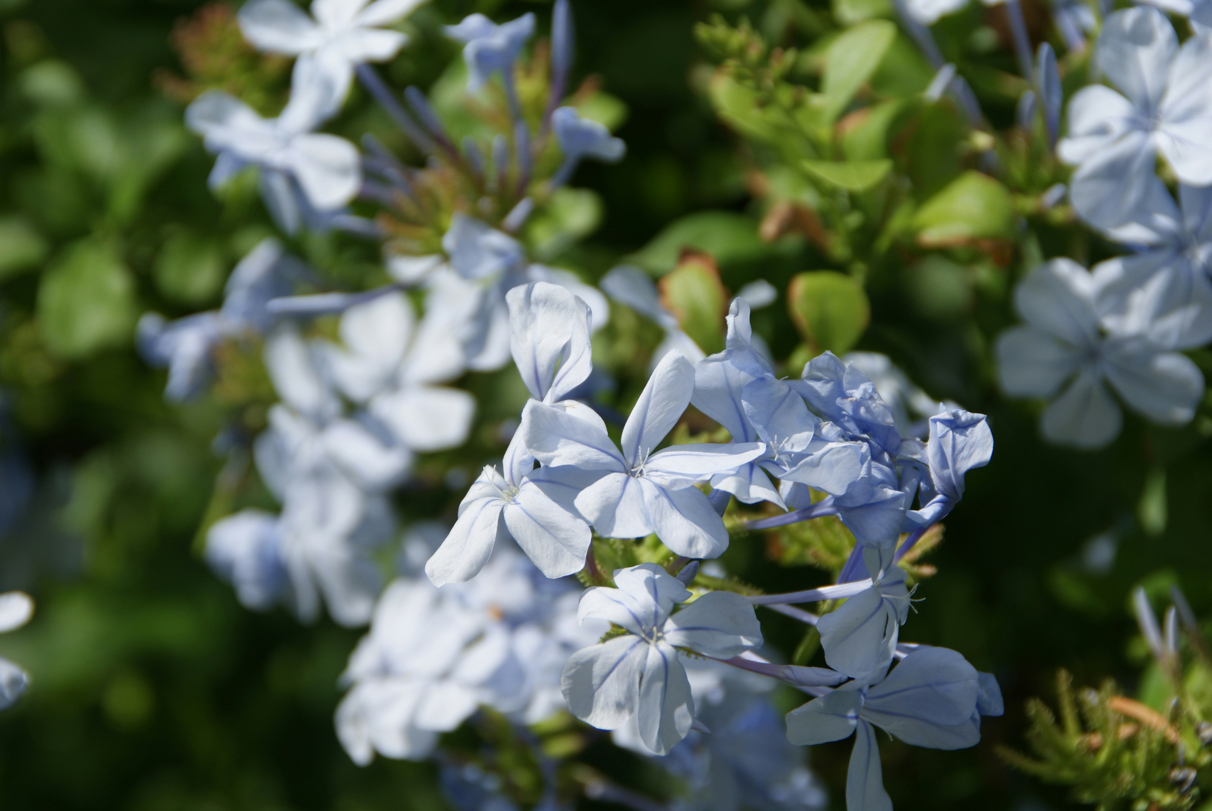 Photo by dannykroontje