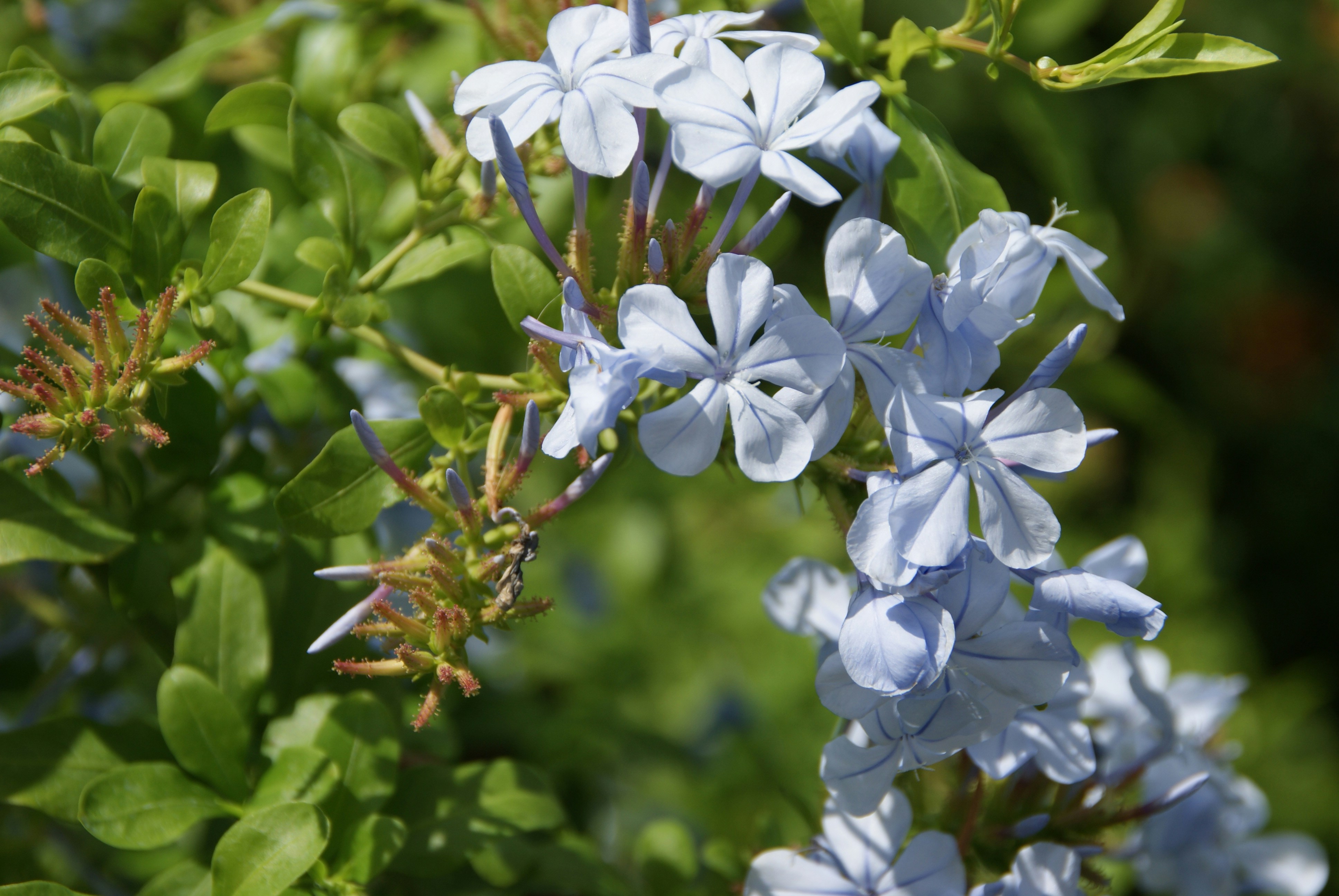 Photo by dannykroontje