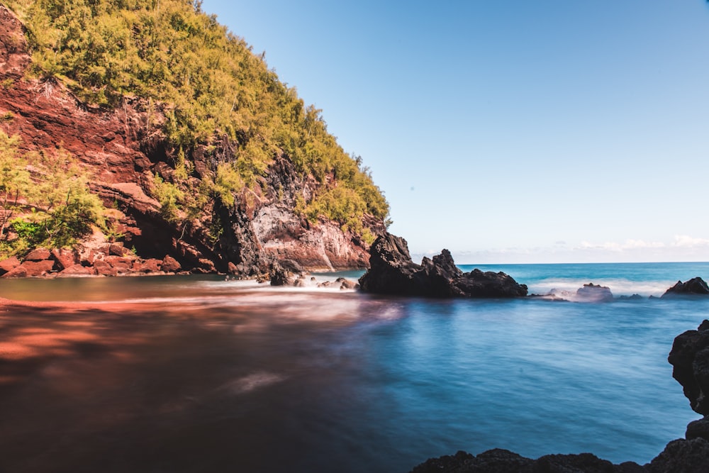 green trees on brown rock formation beside blue sea under blue sky during daytime