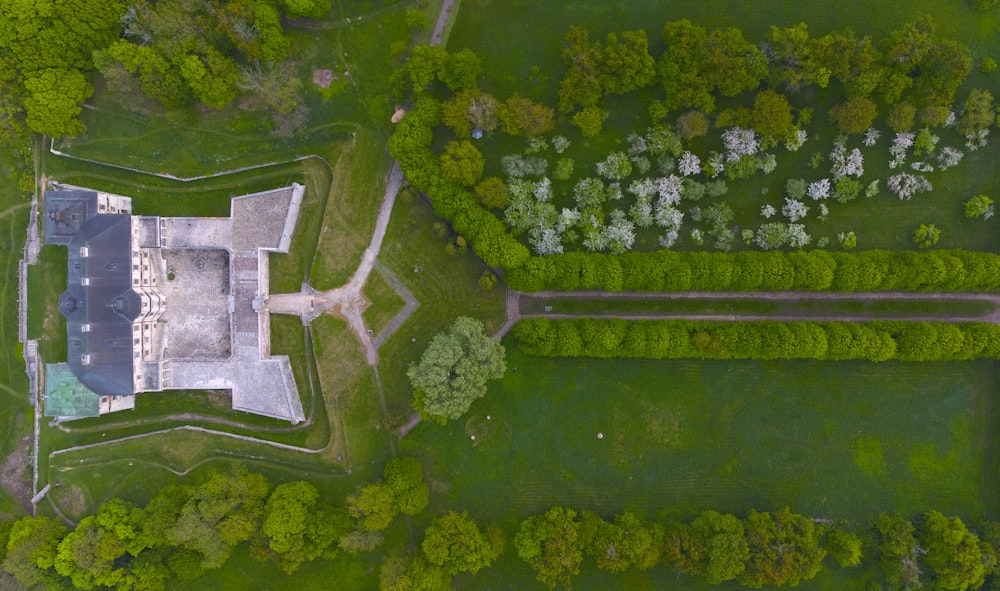 aerial view of green trees and green grass field