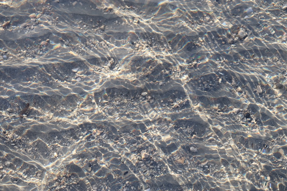 close up photo of body of water
