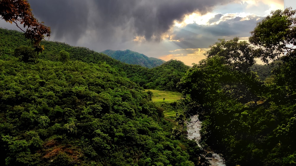 green trees on mountain under white clouds during daytime