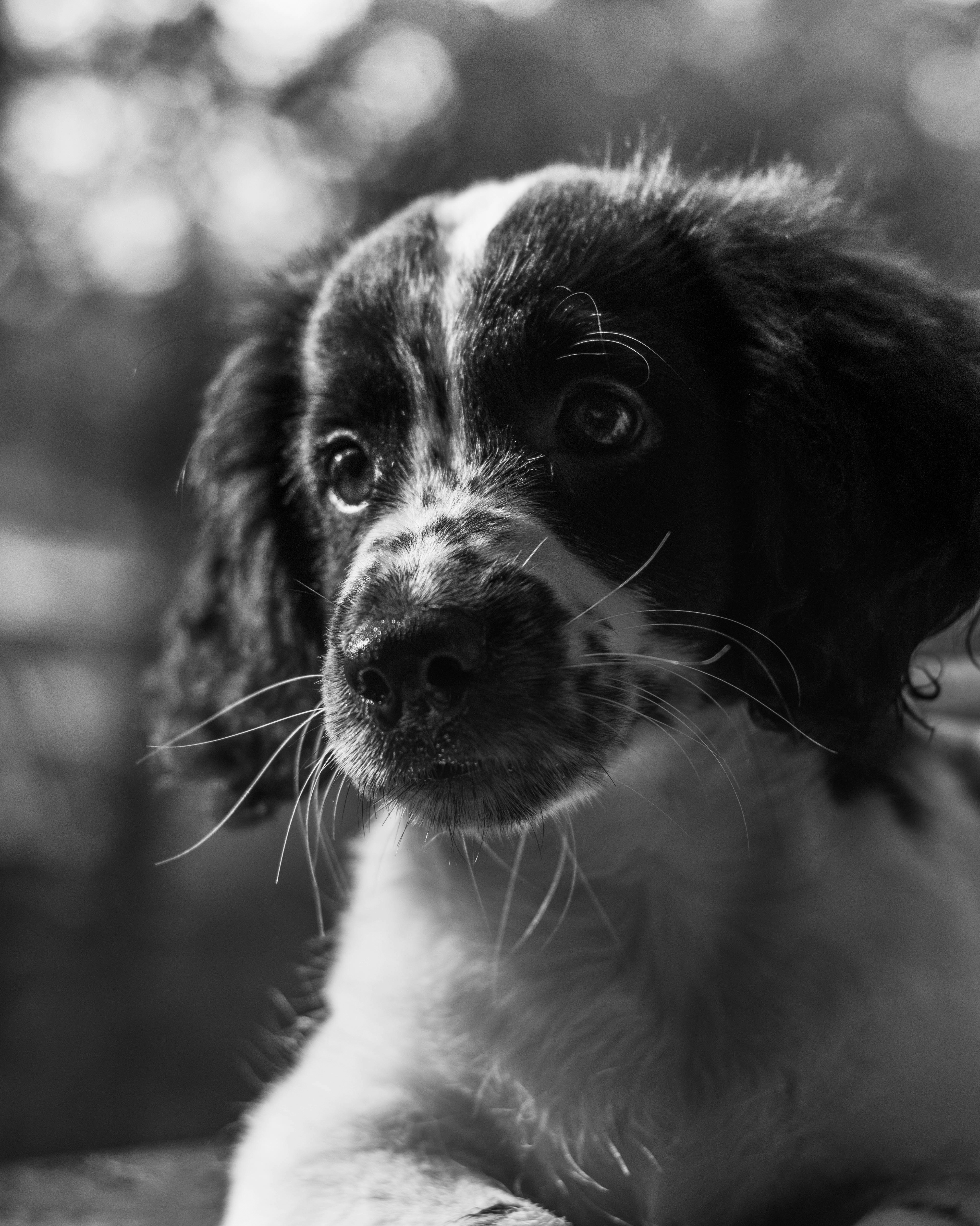 Photo by rubenstein111rebello