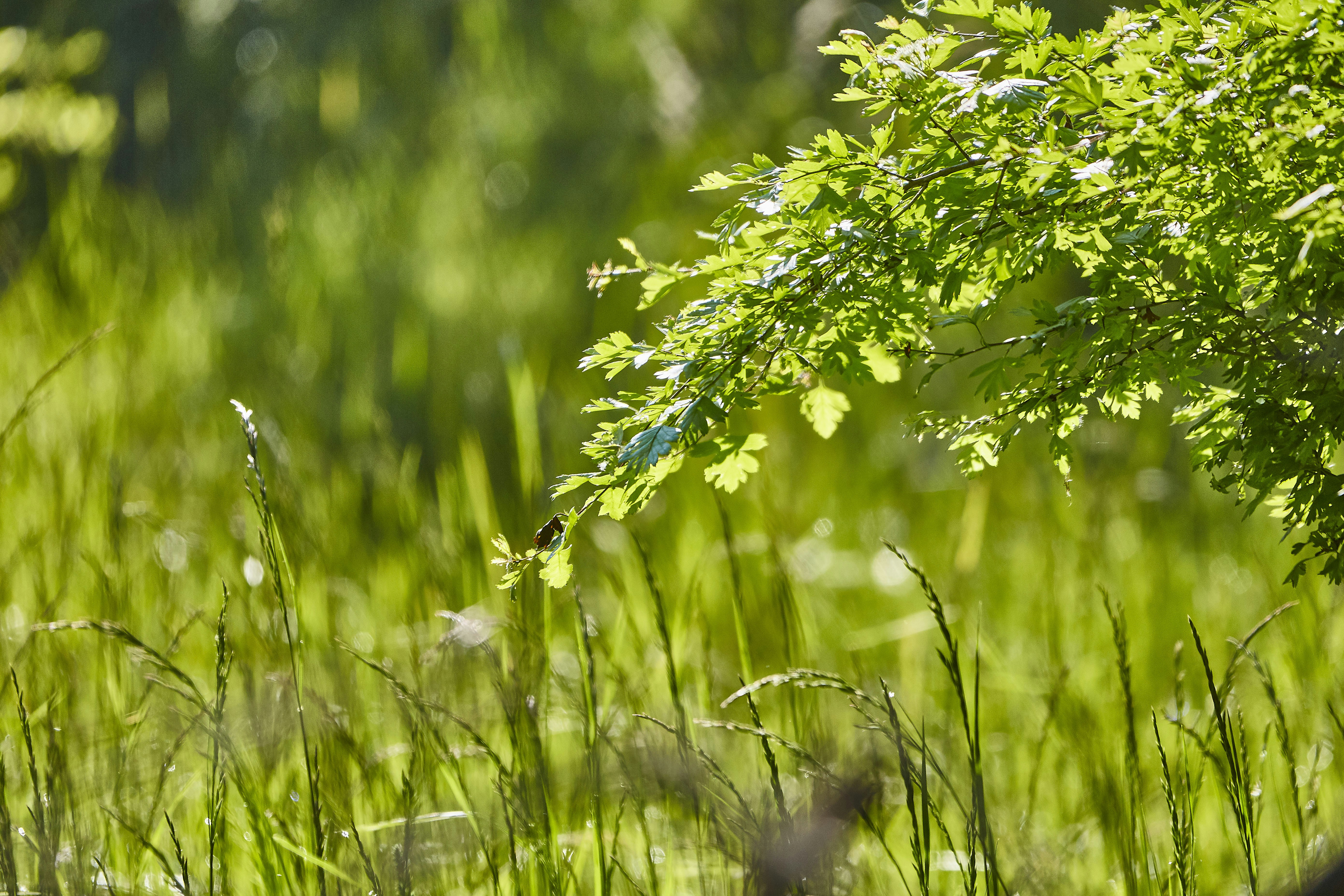 Photo by quadratmedia