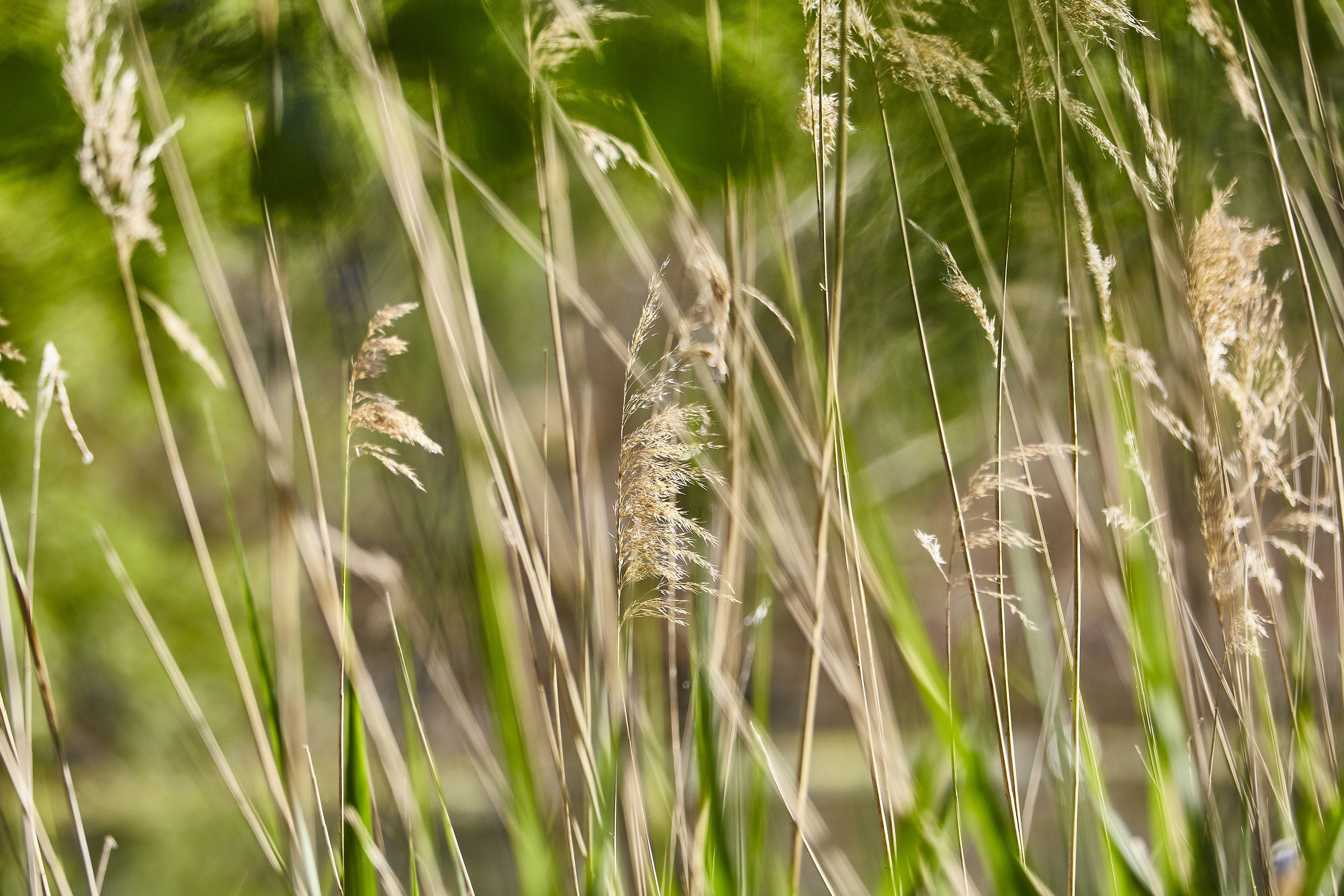 Photo by quadratmedia