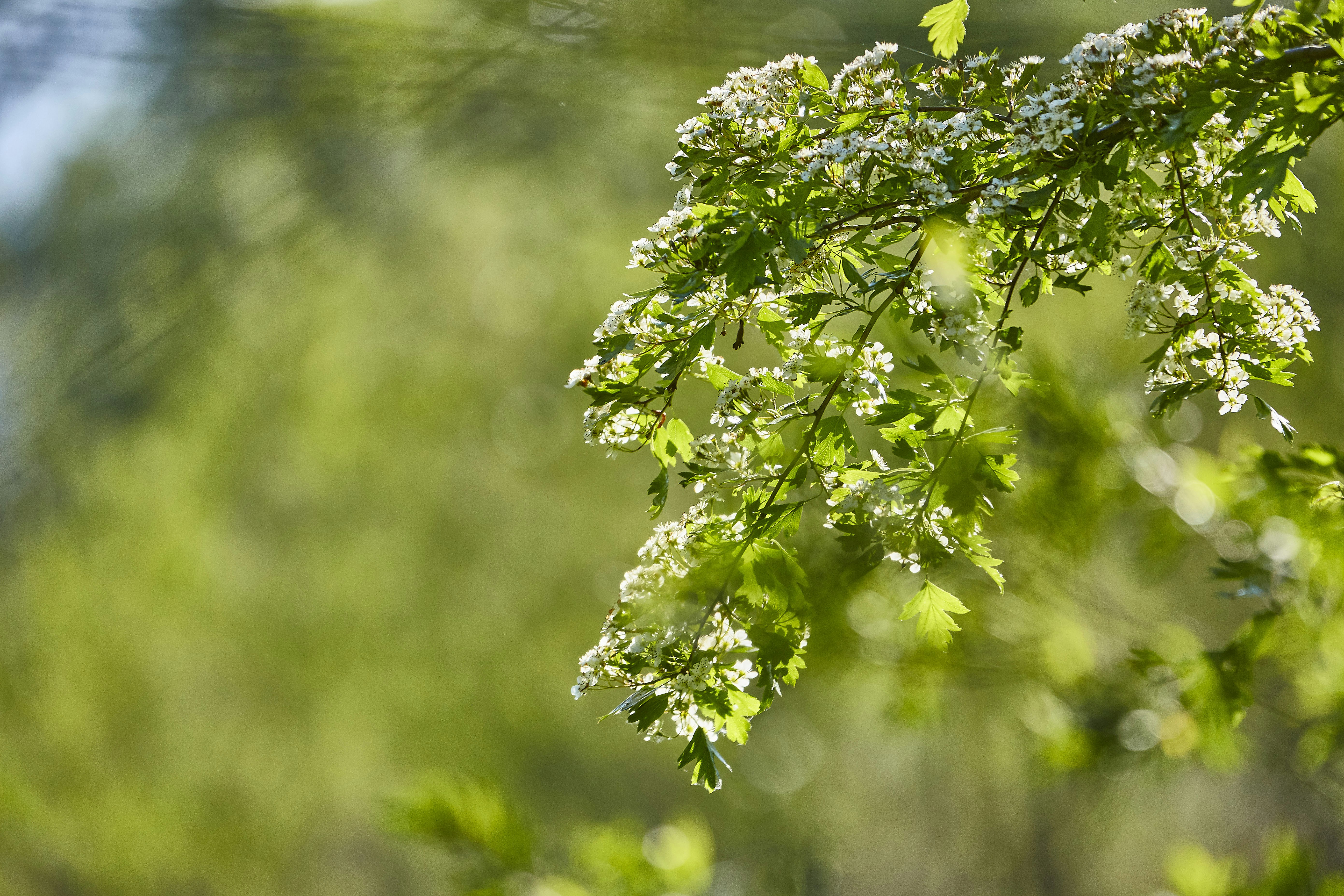 Photo by quadratmedia