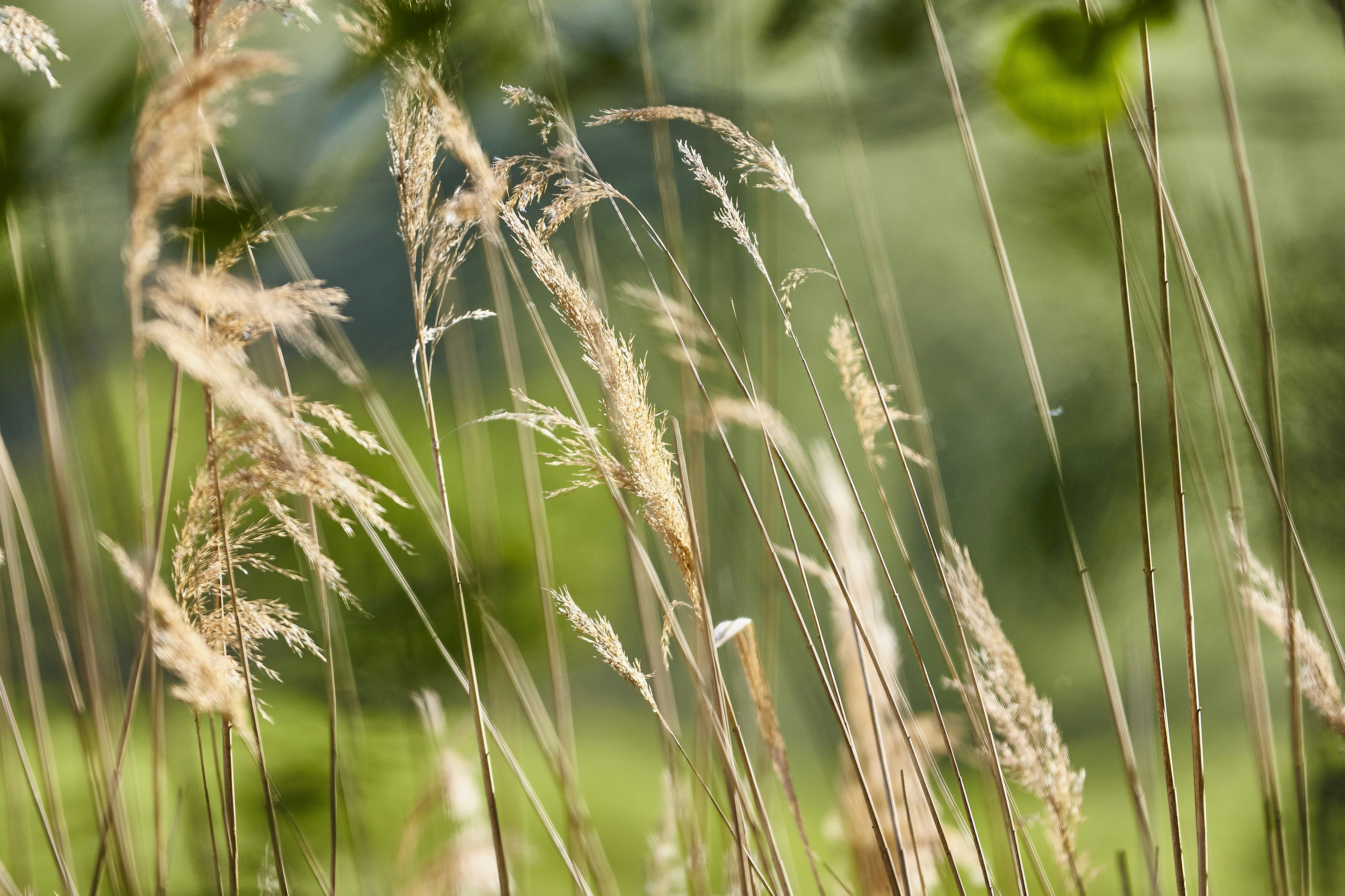 Photo by quadratmedia