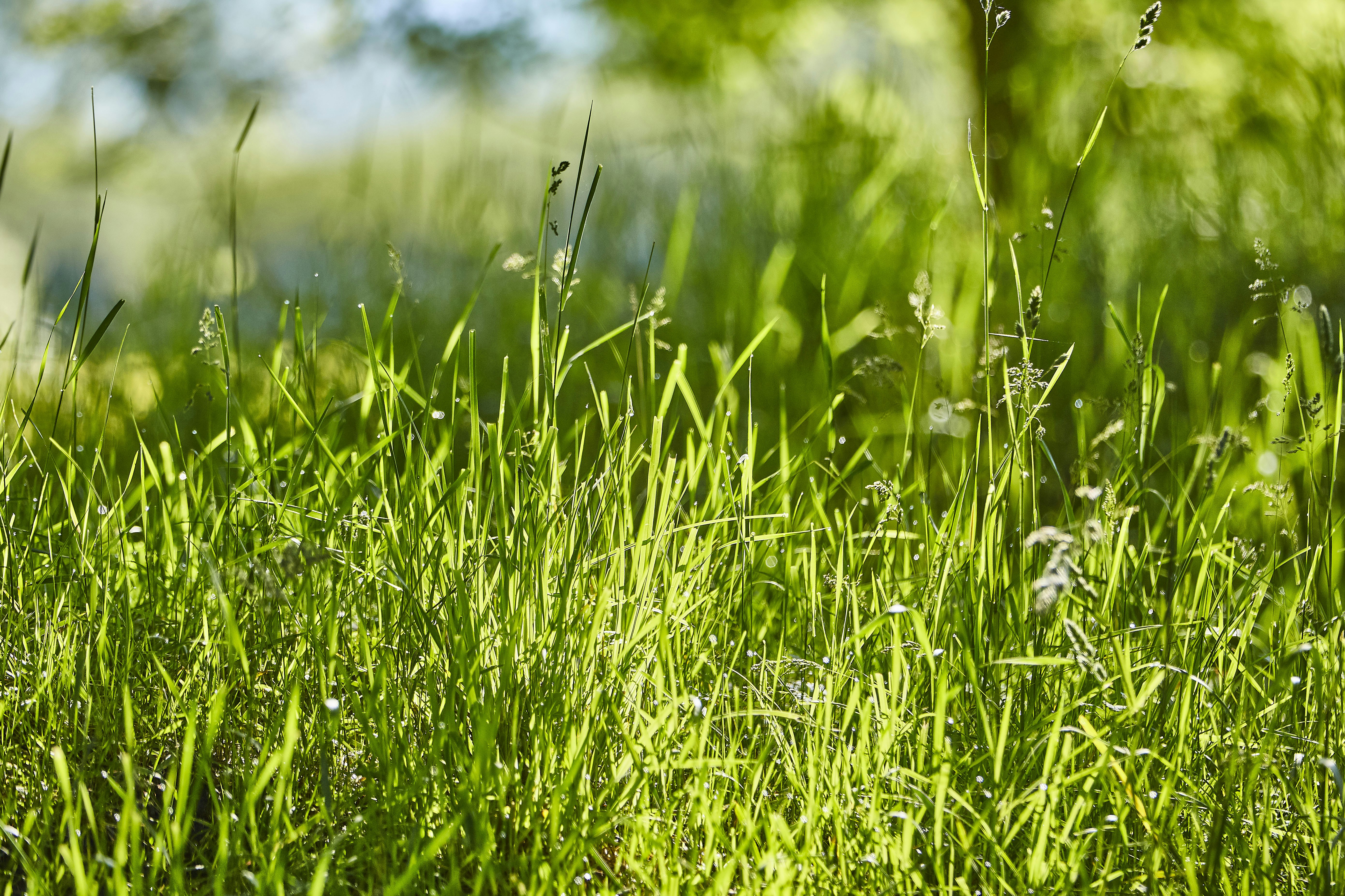 Photo by quadratmedia