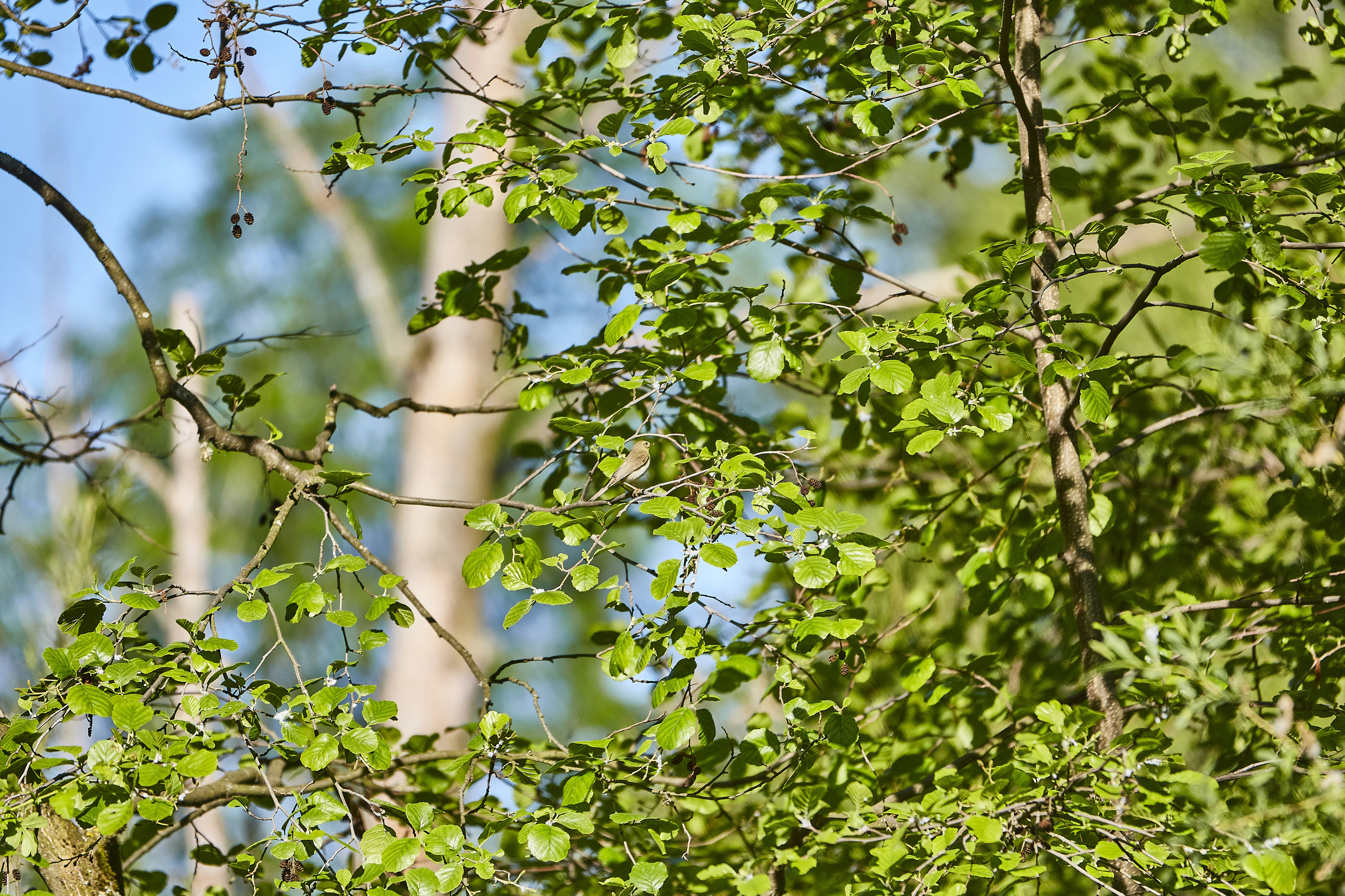 Photo by quadratmedia