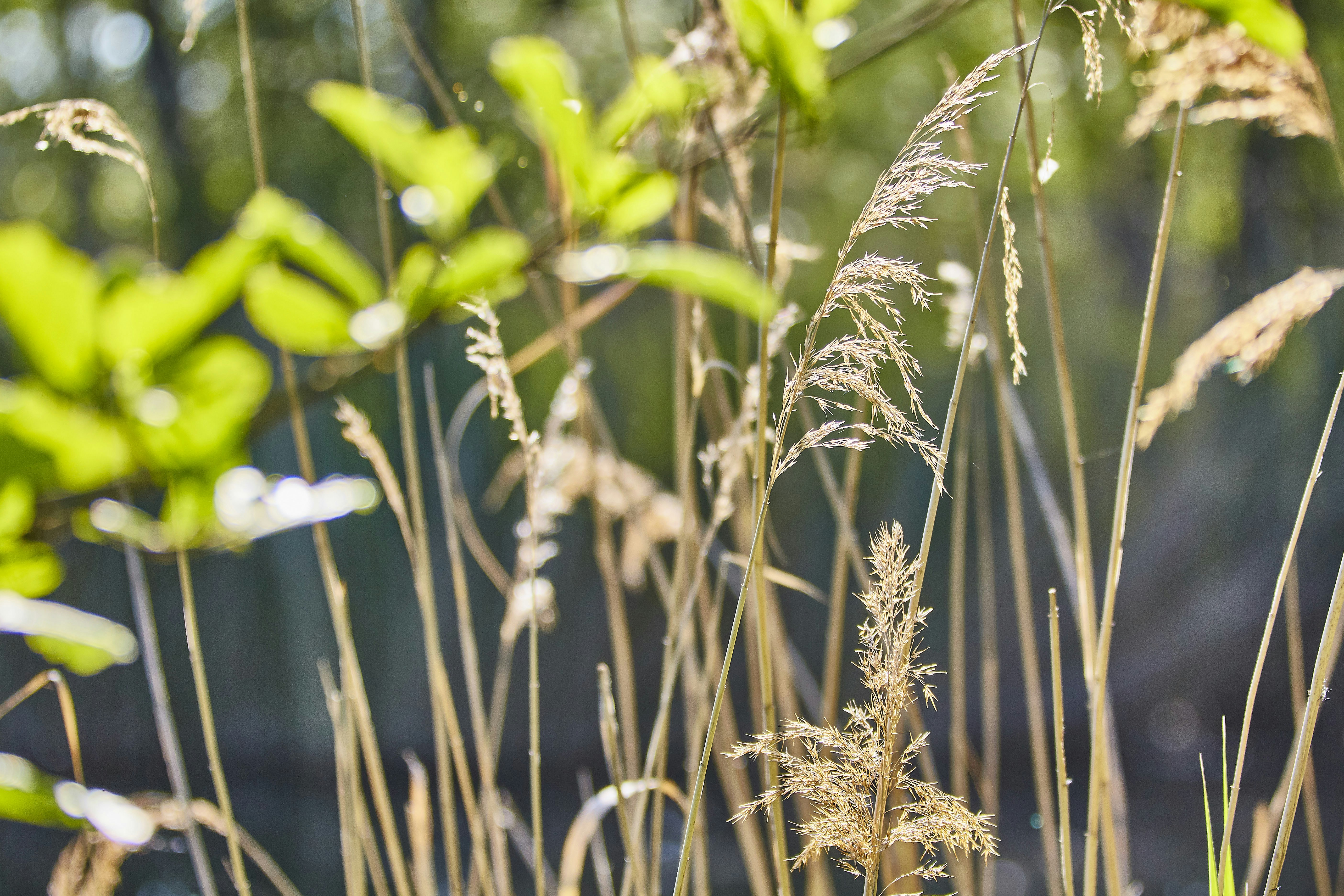 Photo by quadratmedia