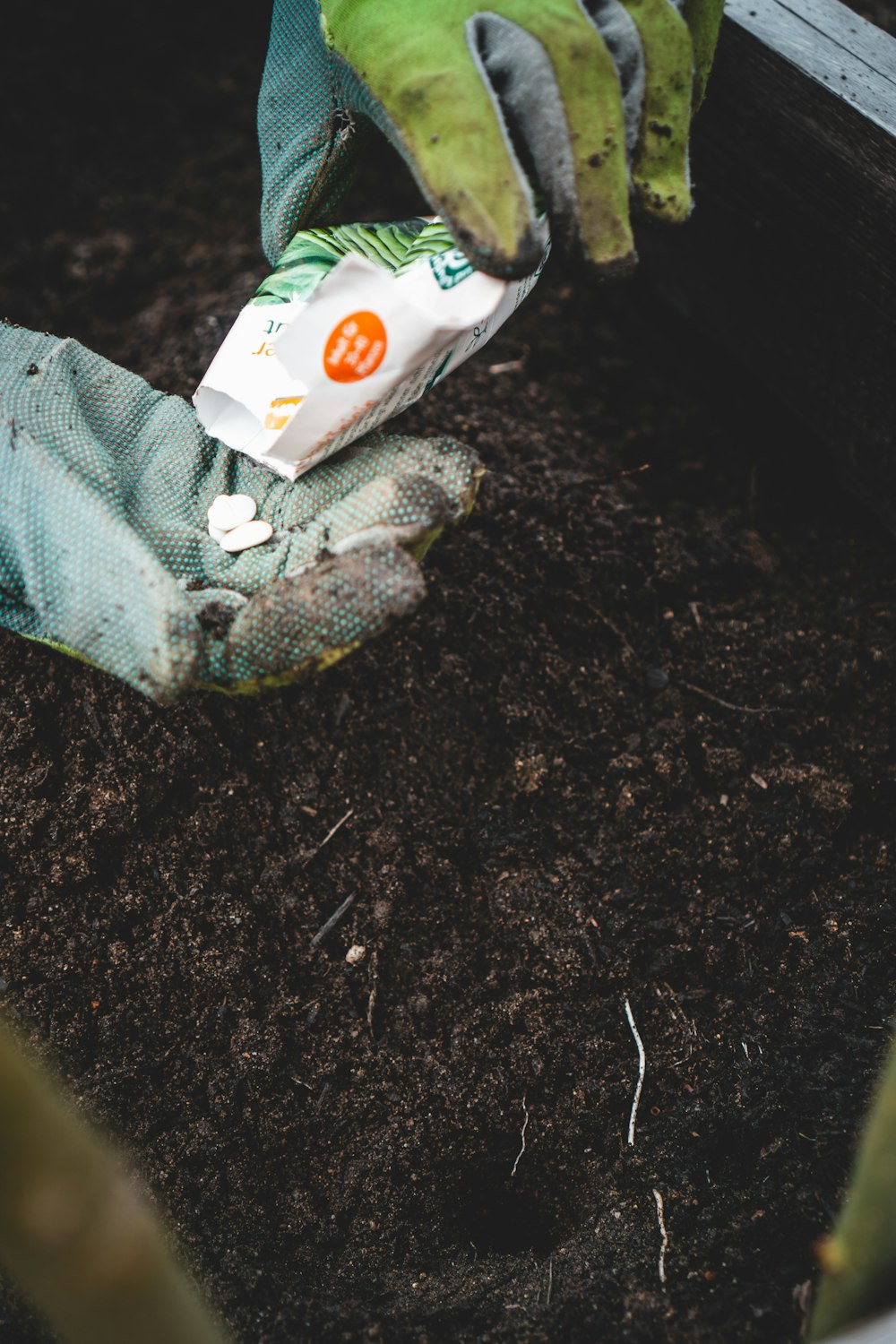 green and white sock on black soil