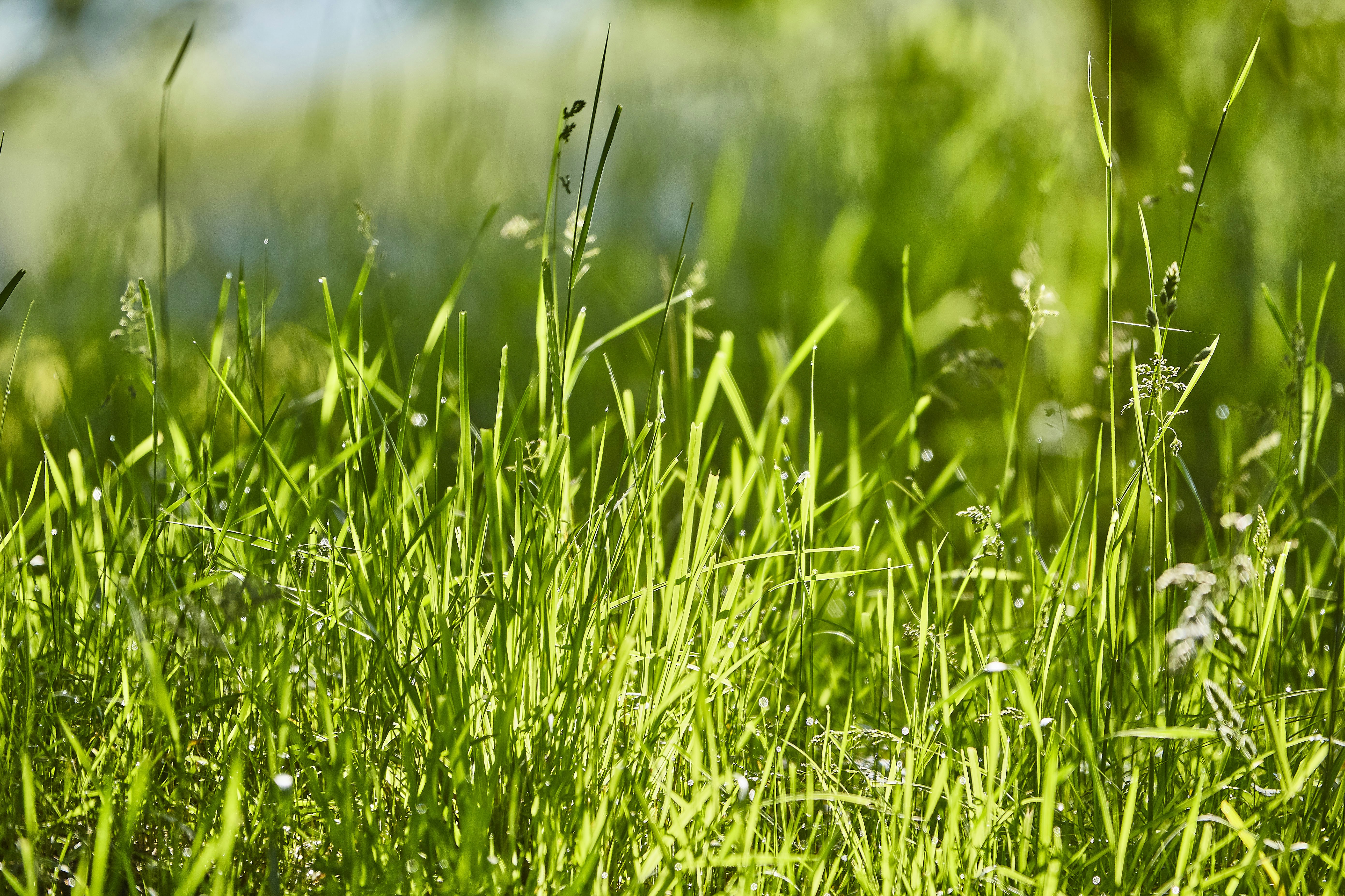 Photo by quadratmedia