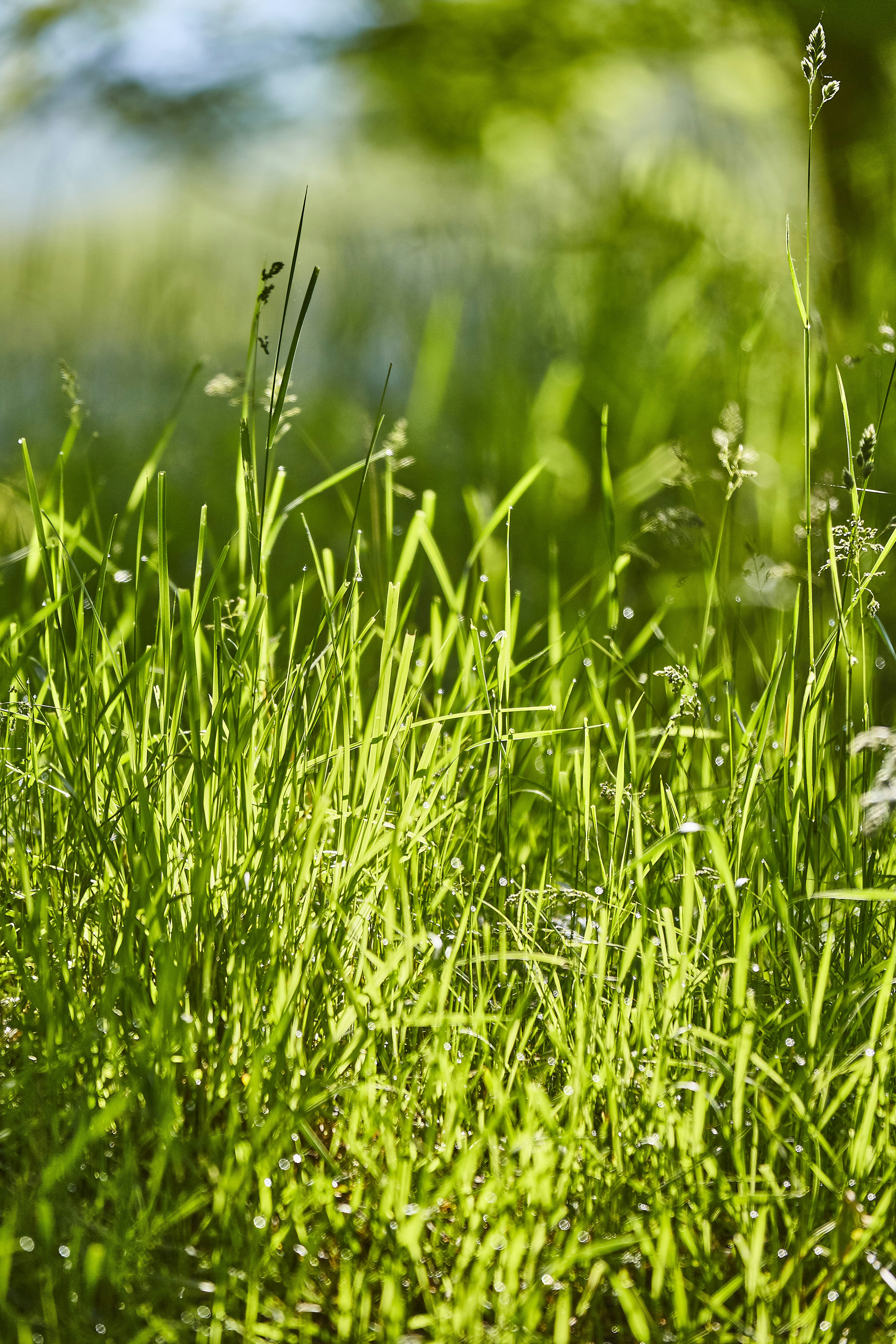 Photo by quadratmedia