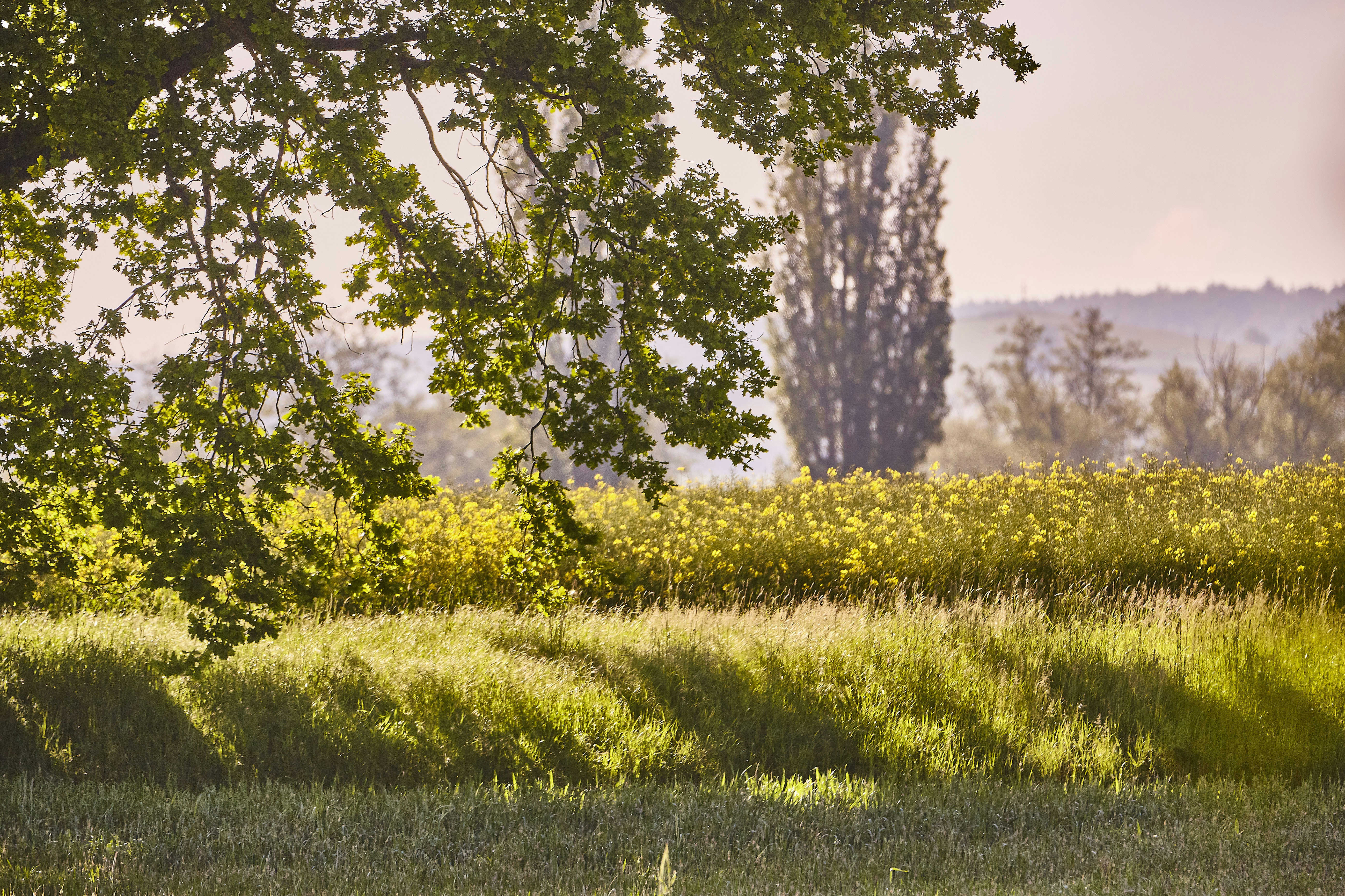 Photo by quadratmedia