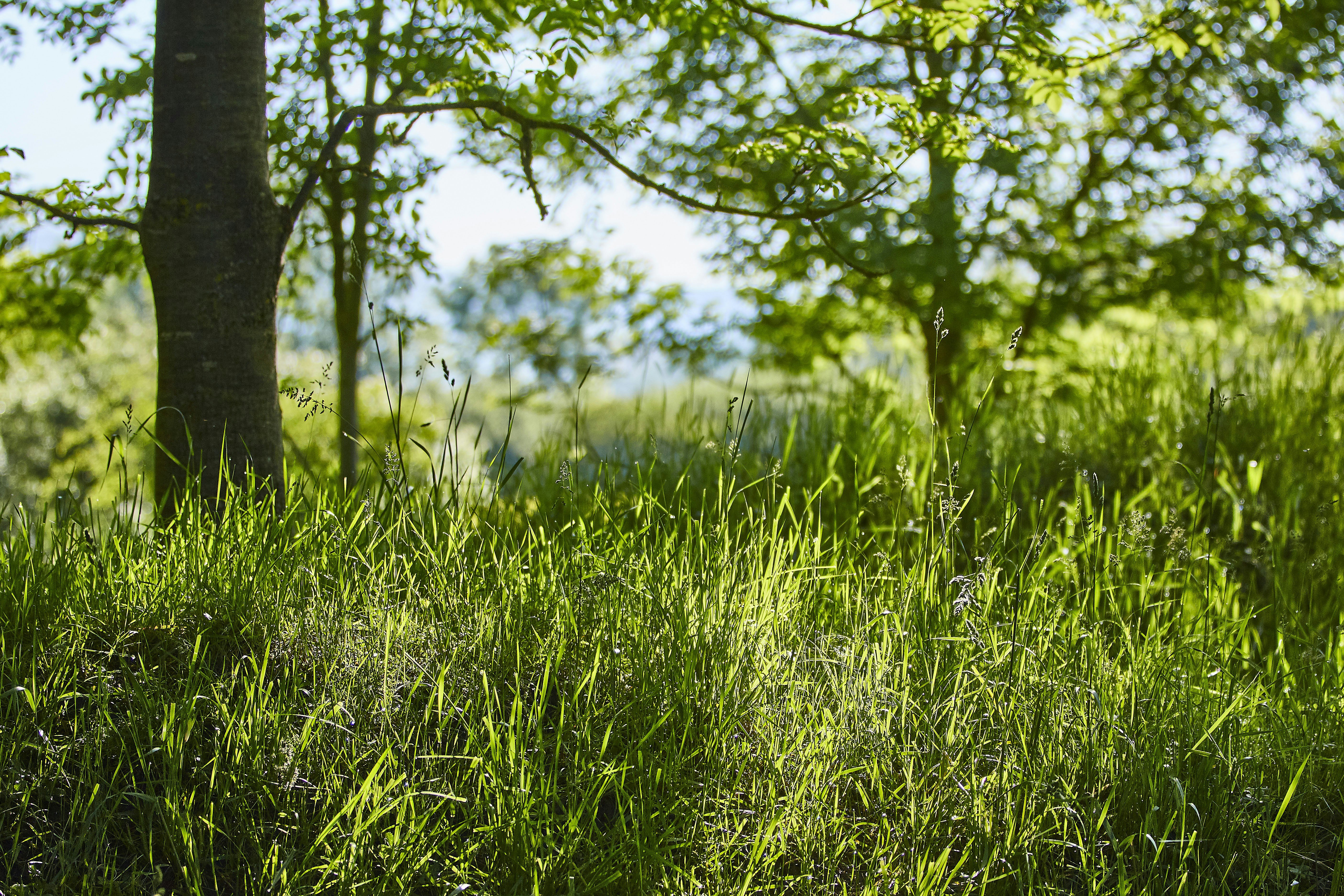 Photo by quadratmedia