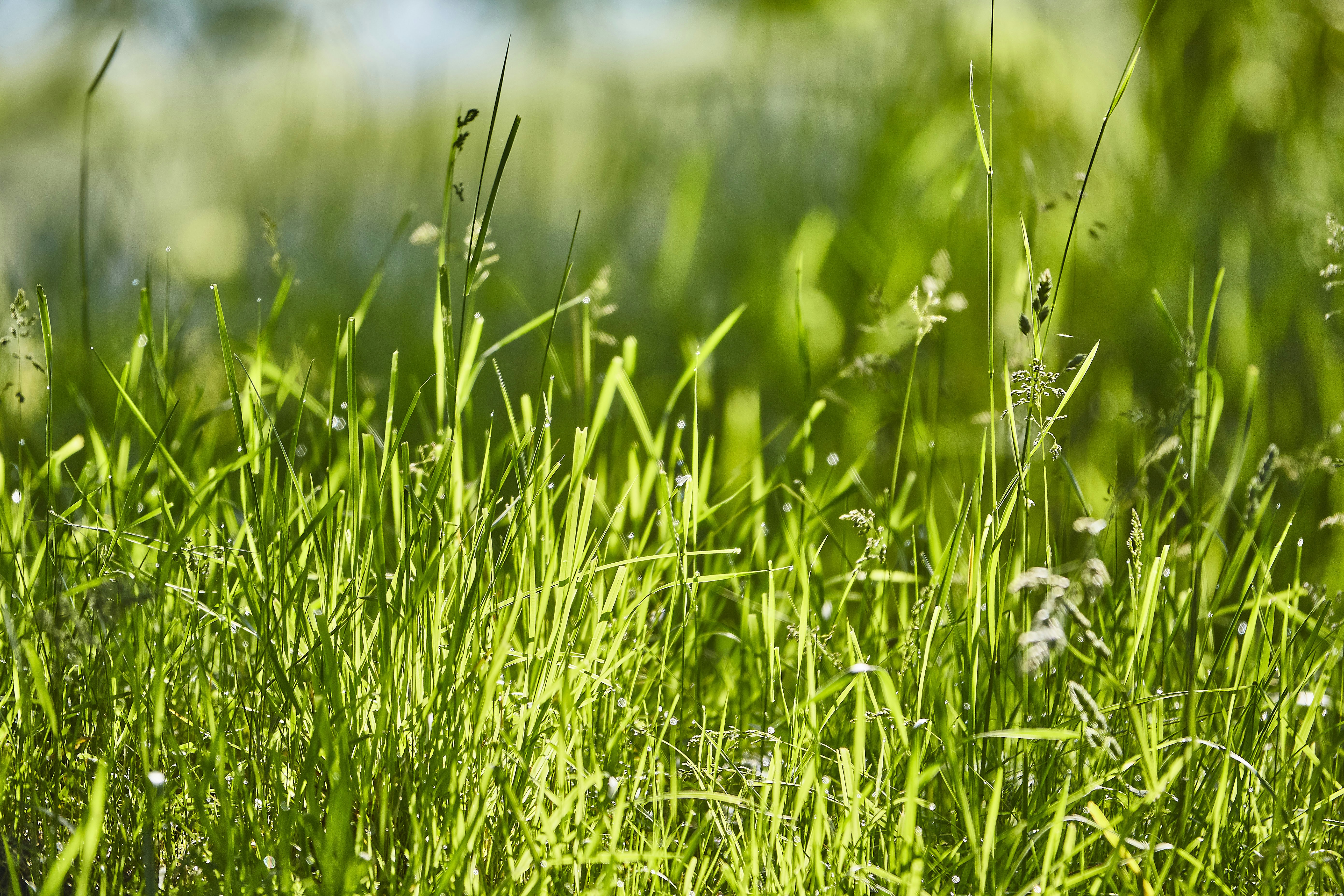 Photo by quadratmedia