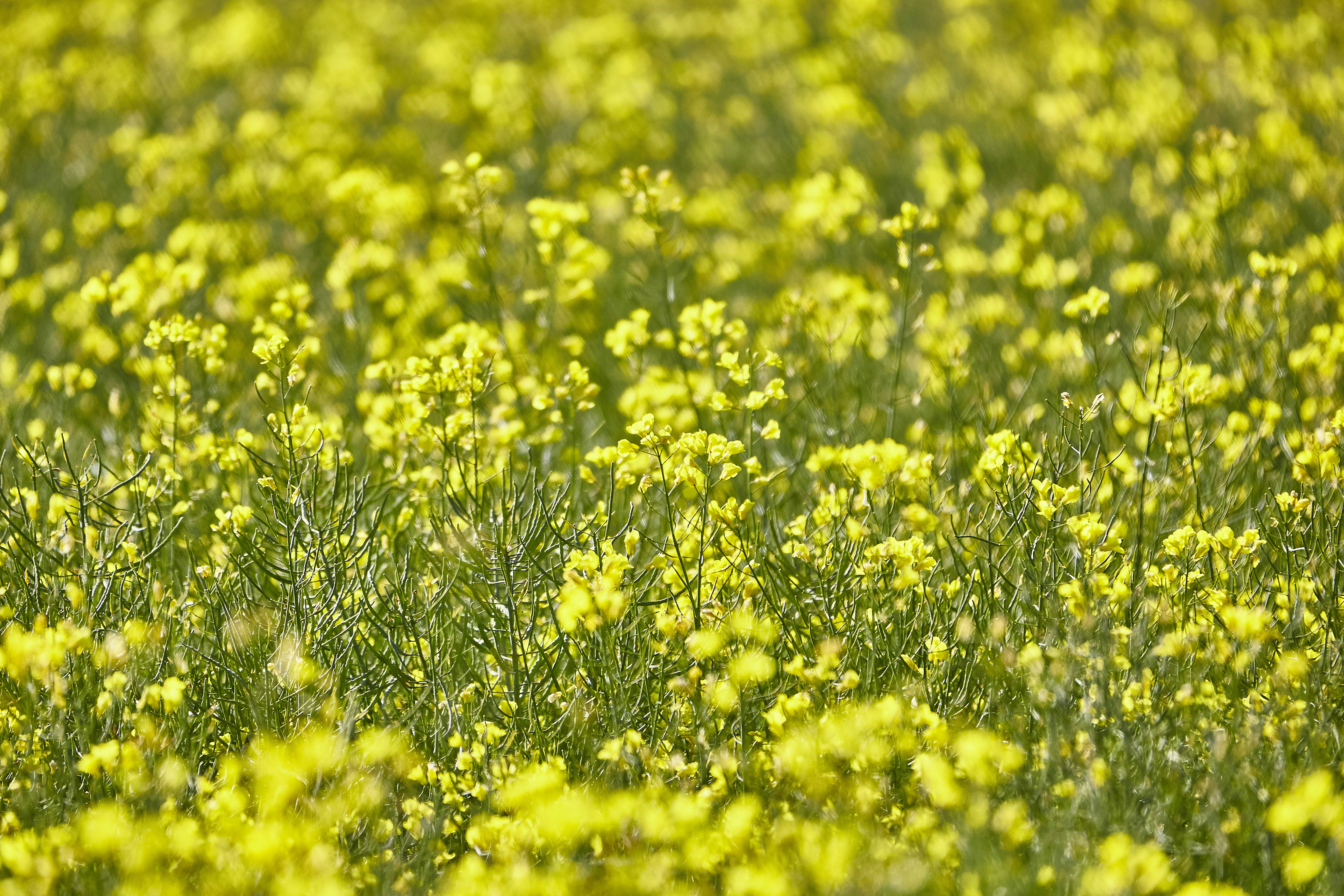 Photo by quadratmedia