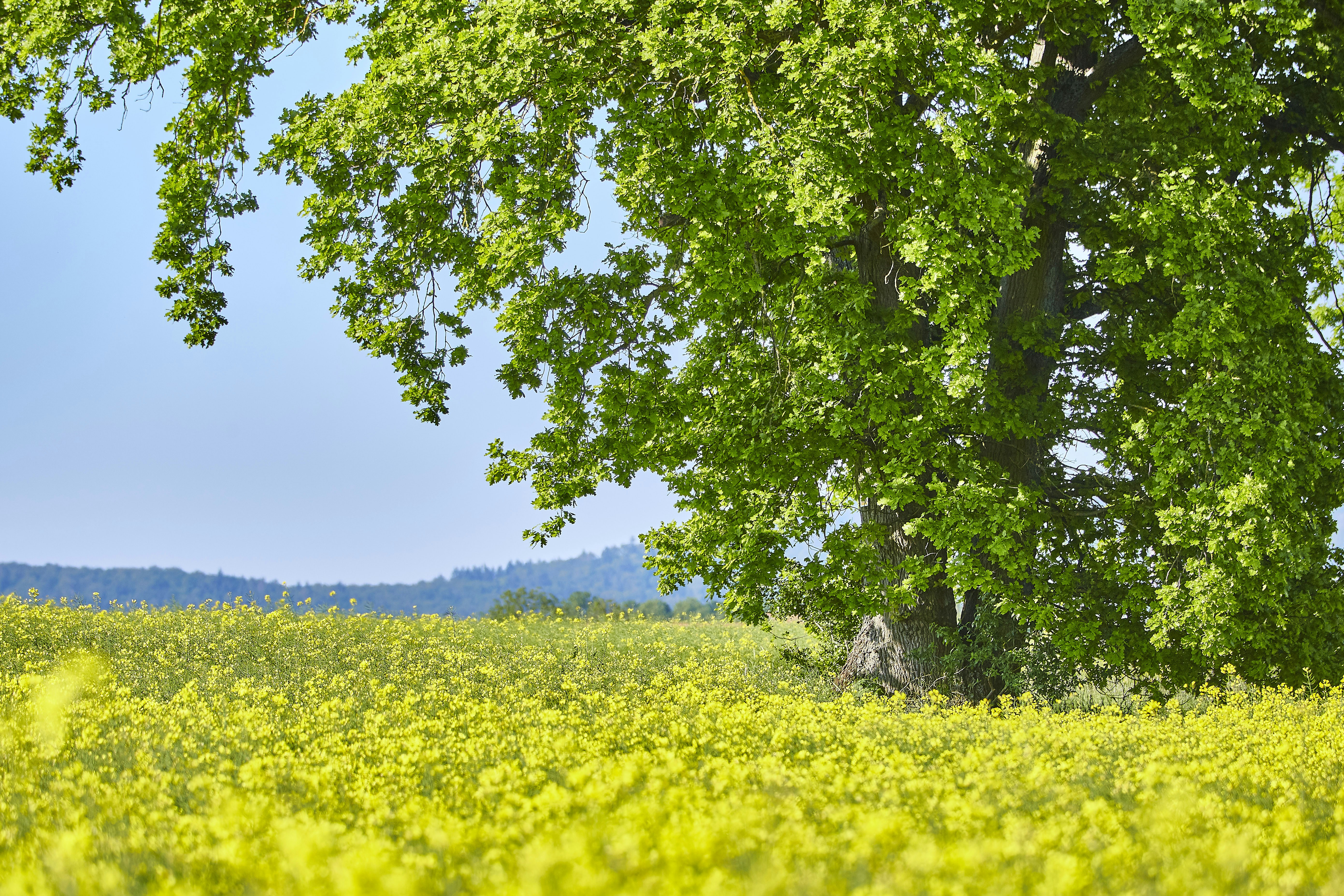 Photo by quadratmedia