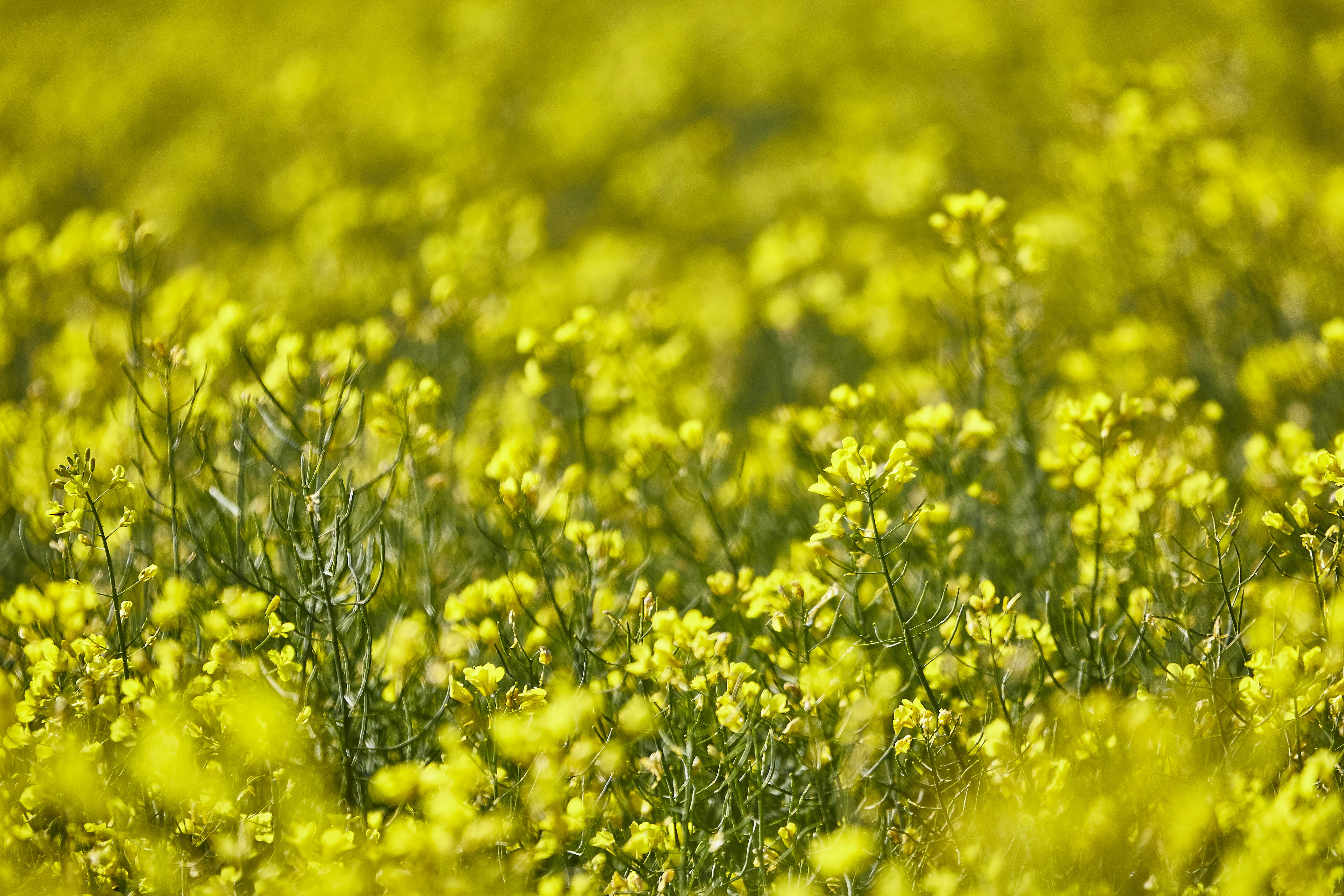 Photo by quadratmedia