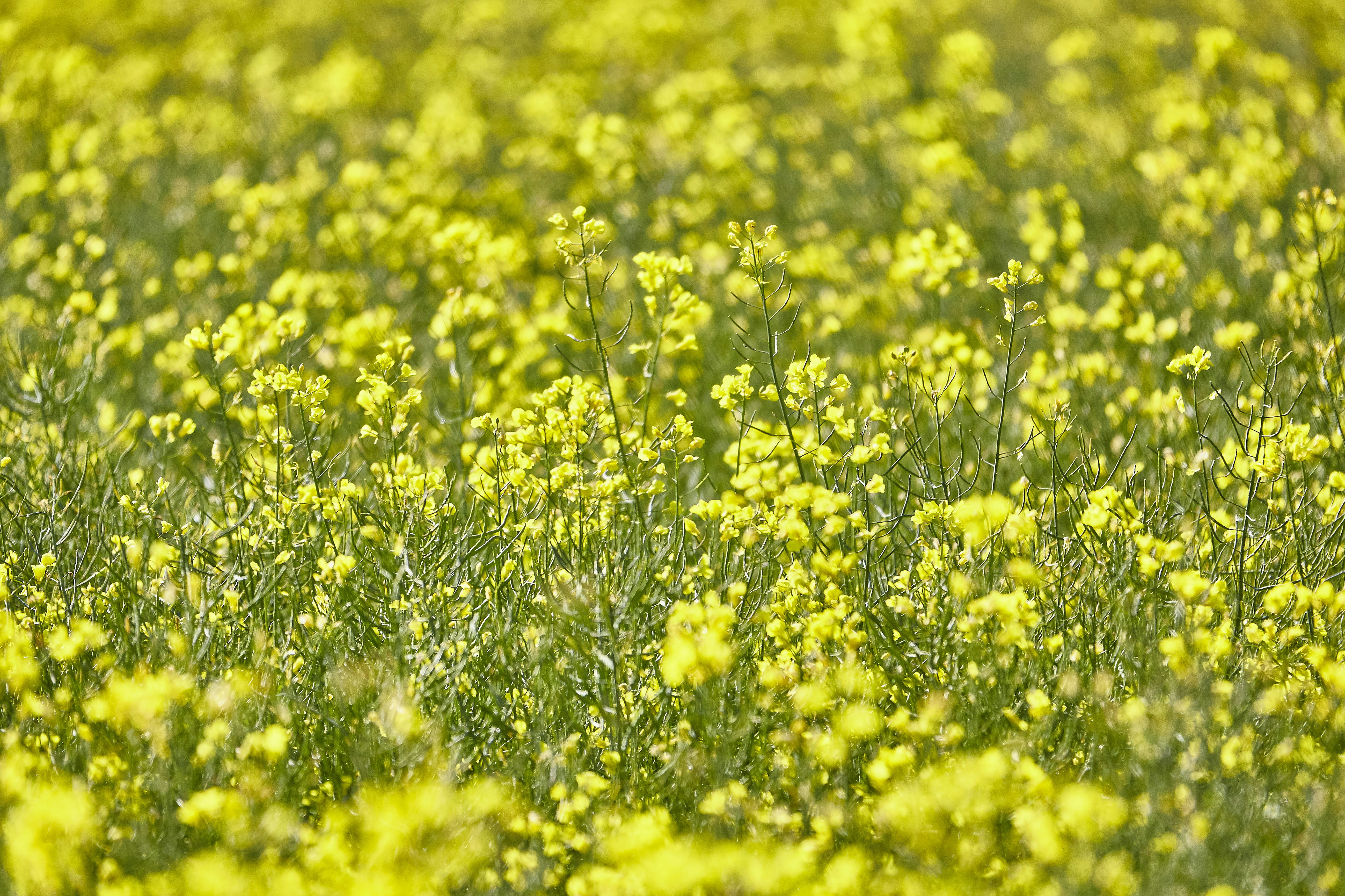 Photo by quadratmedia