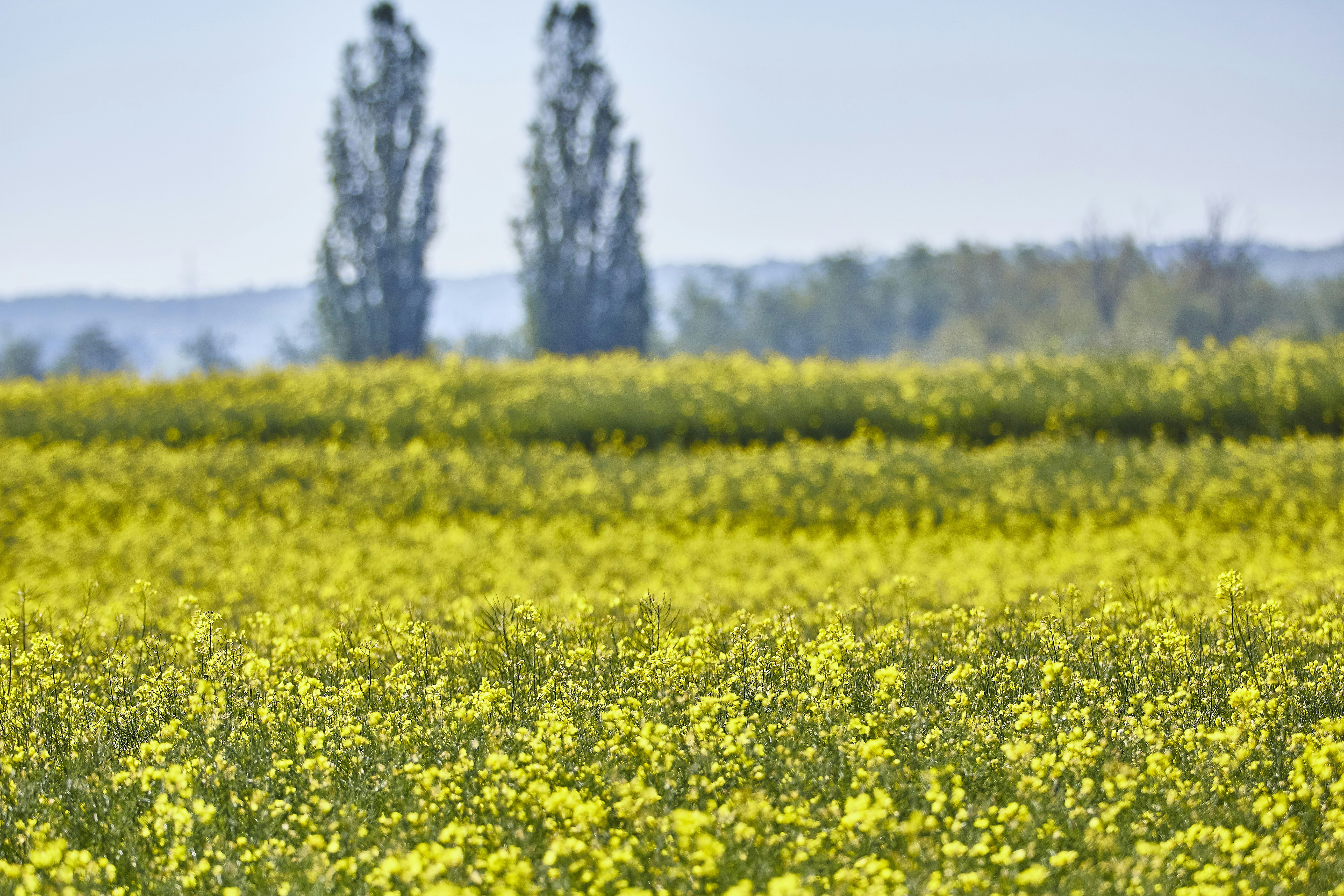 Photo by quadratmedia