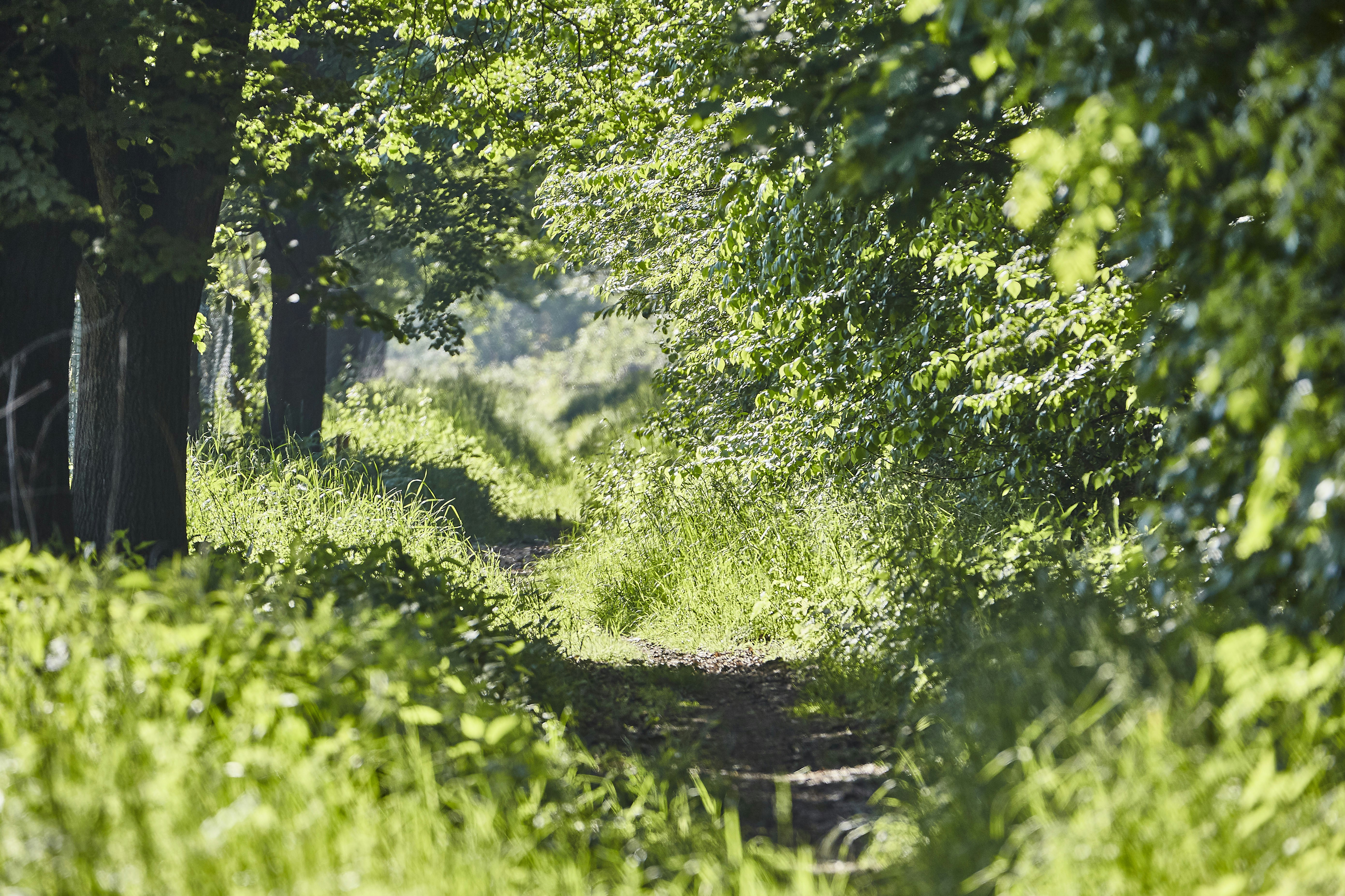 Photo by quadratmedia