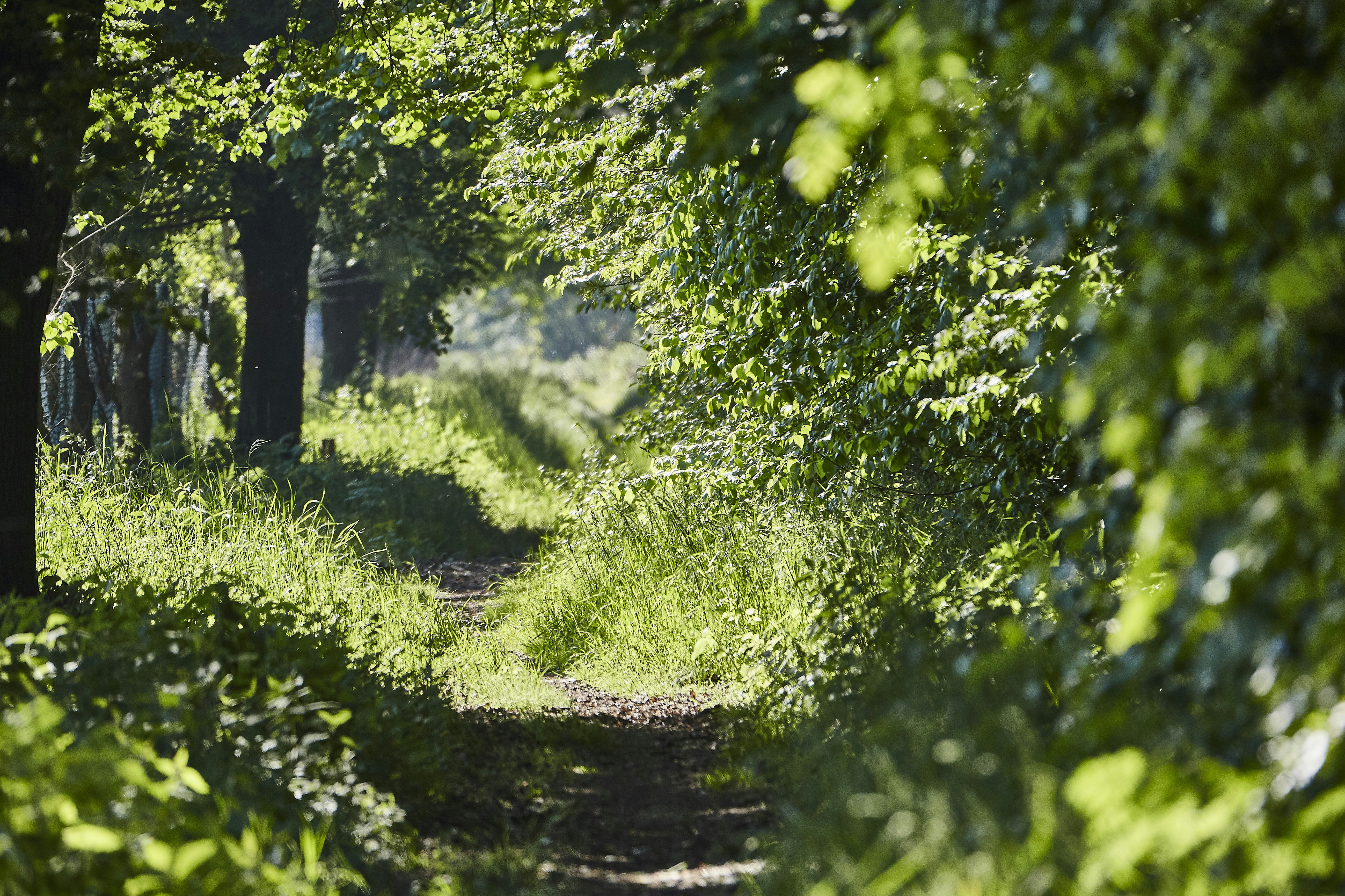 Photo by quadratmedia