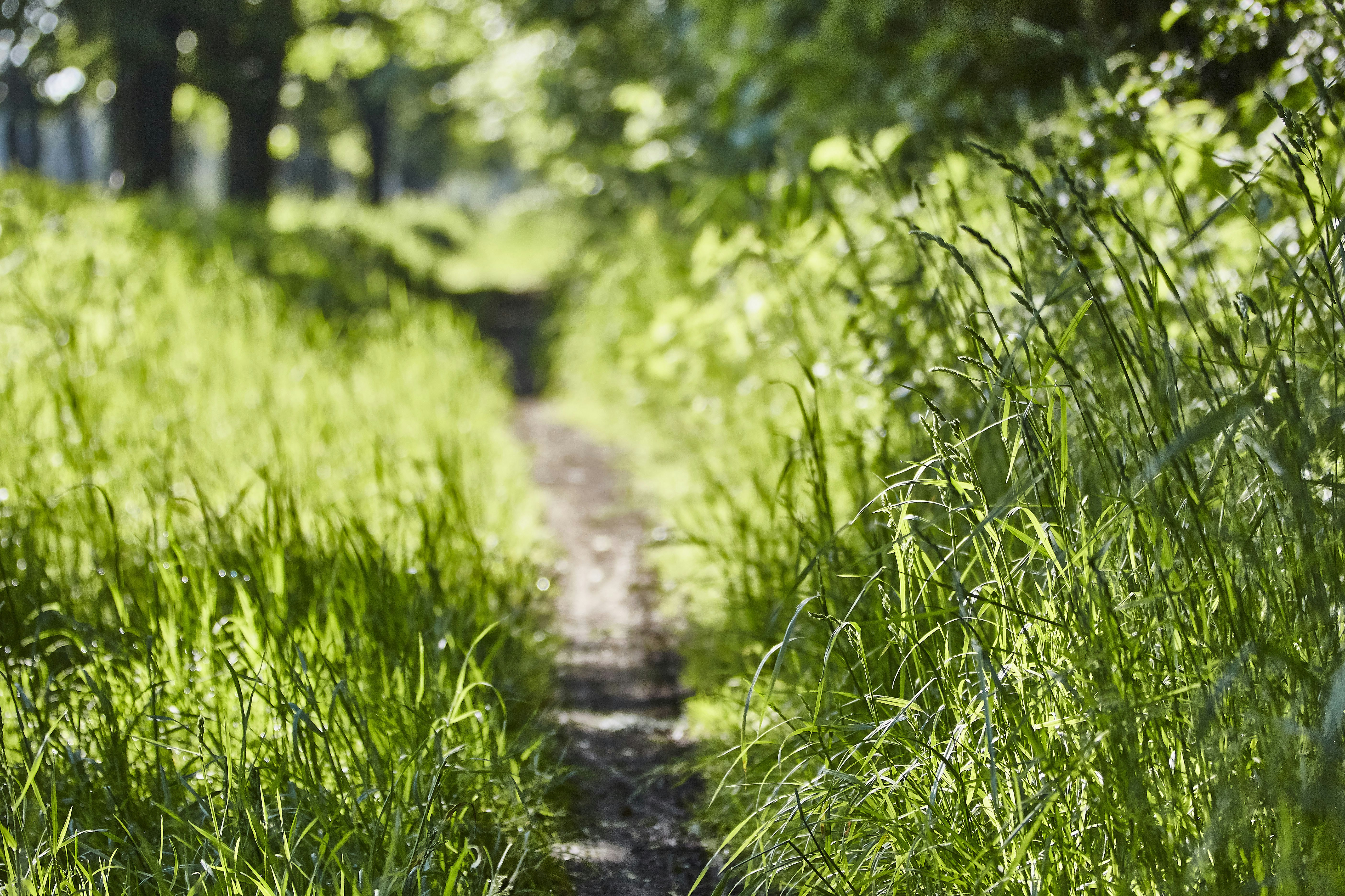 Photo by quadratmedia