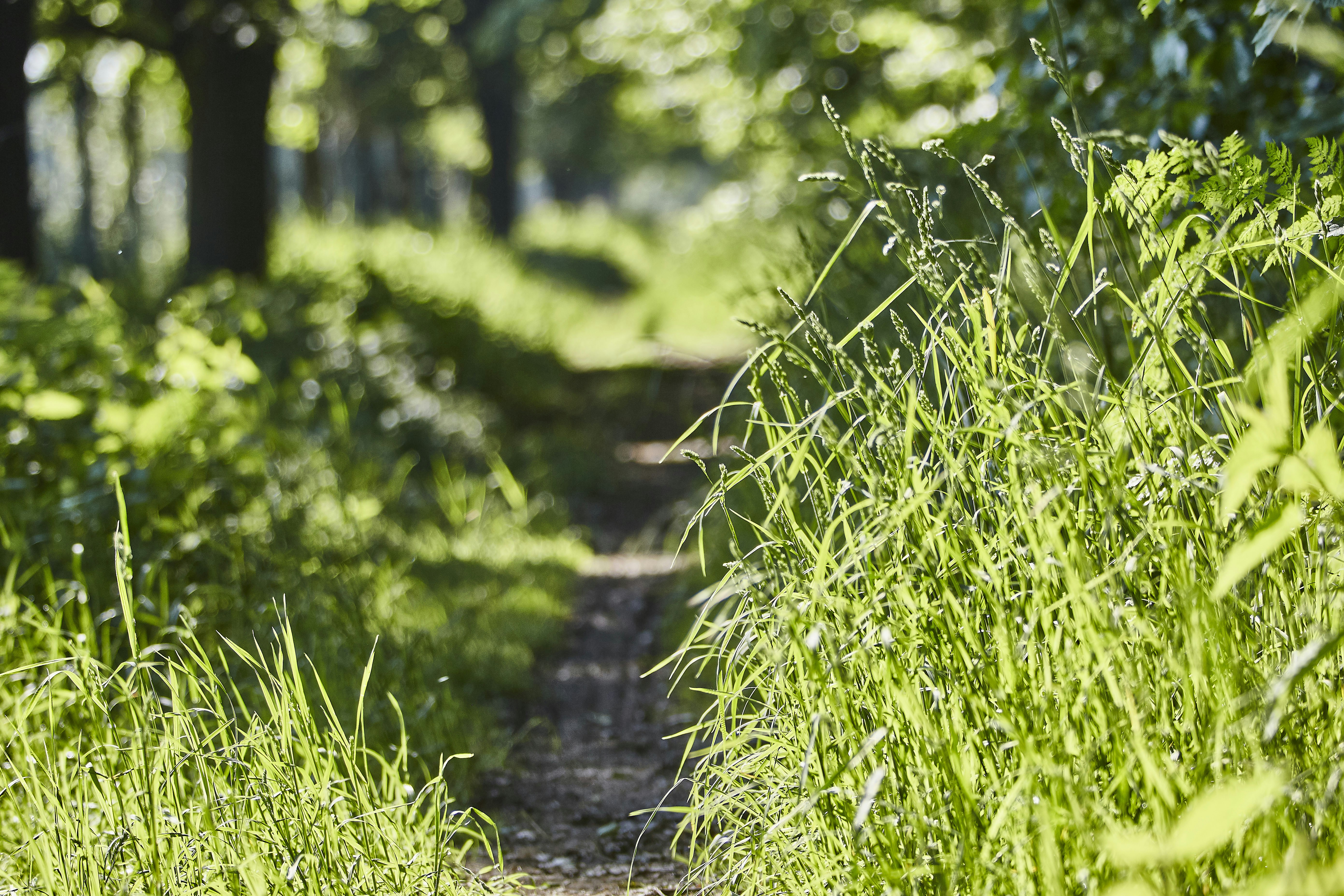 Photo by quadratmedia