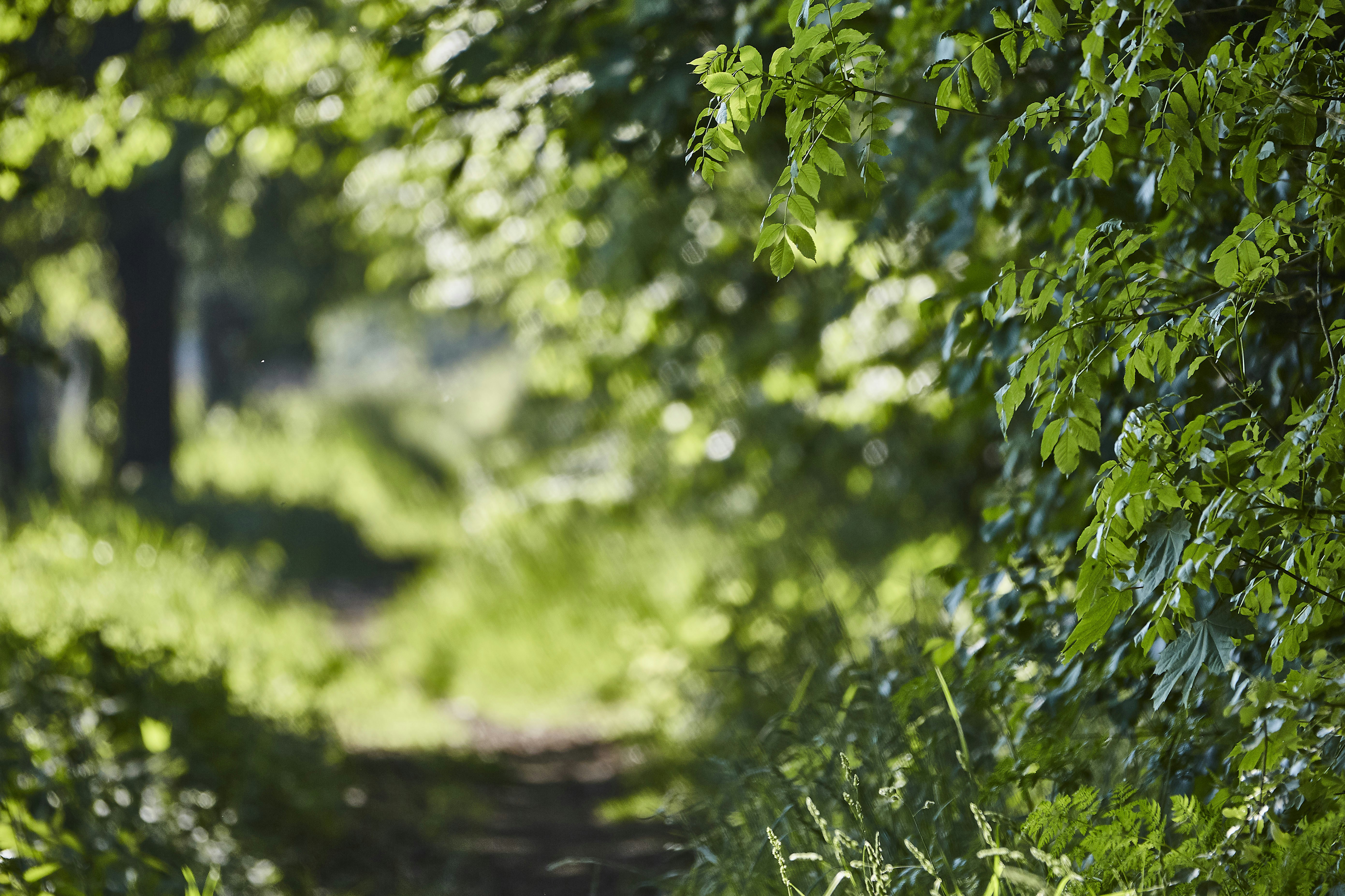 Photo by quadratmedia