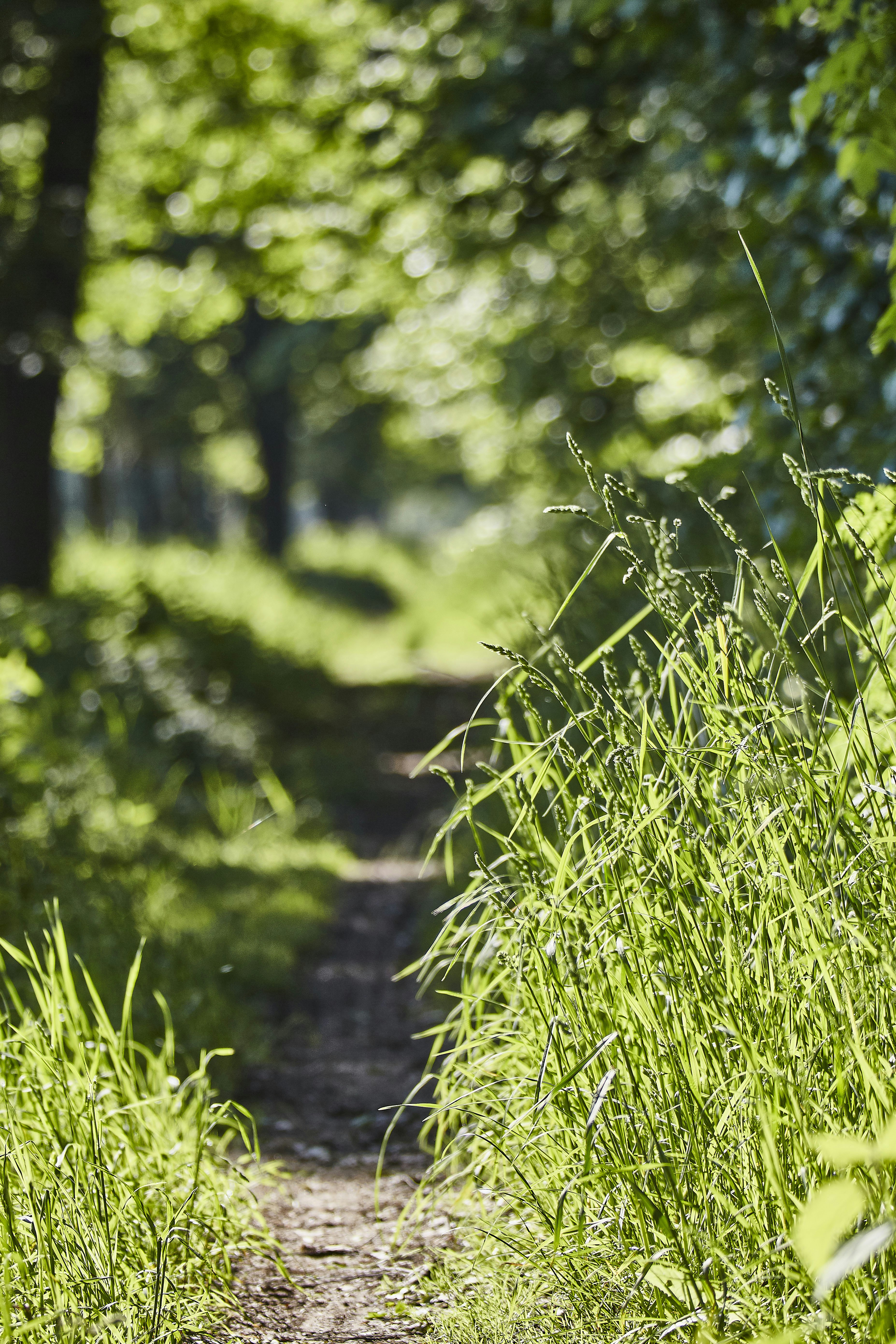 Photo by quadratmedia