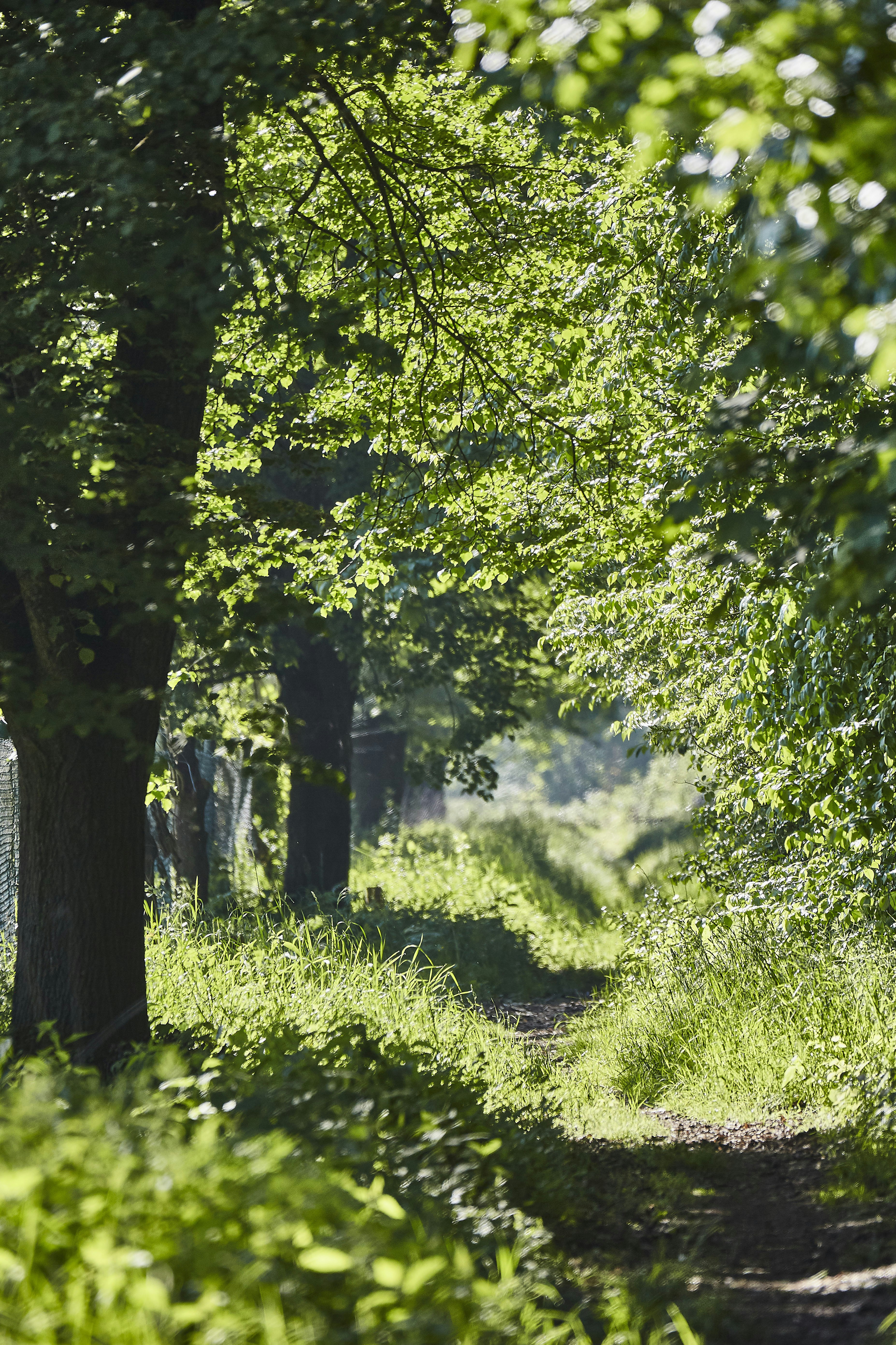 Photo by quadratmedia