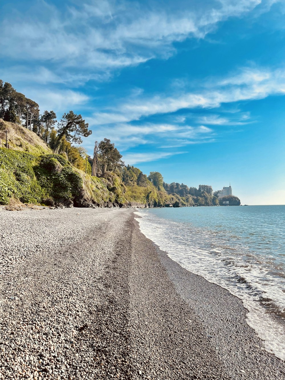 arbres verts sur la montagne près de la mer sous le ciel bleu pendant la journée