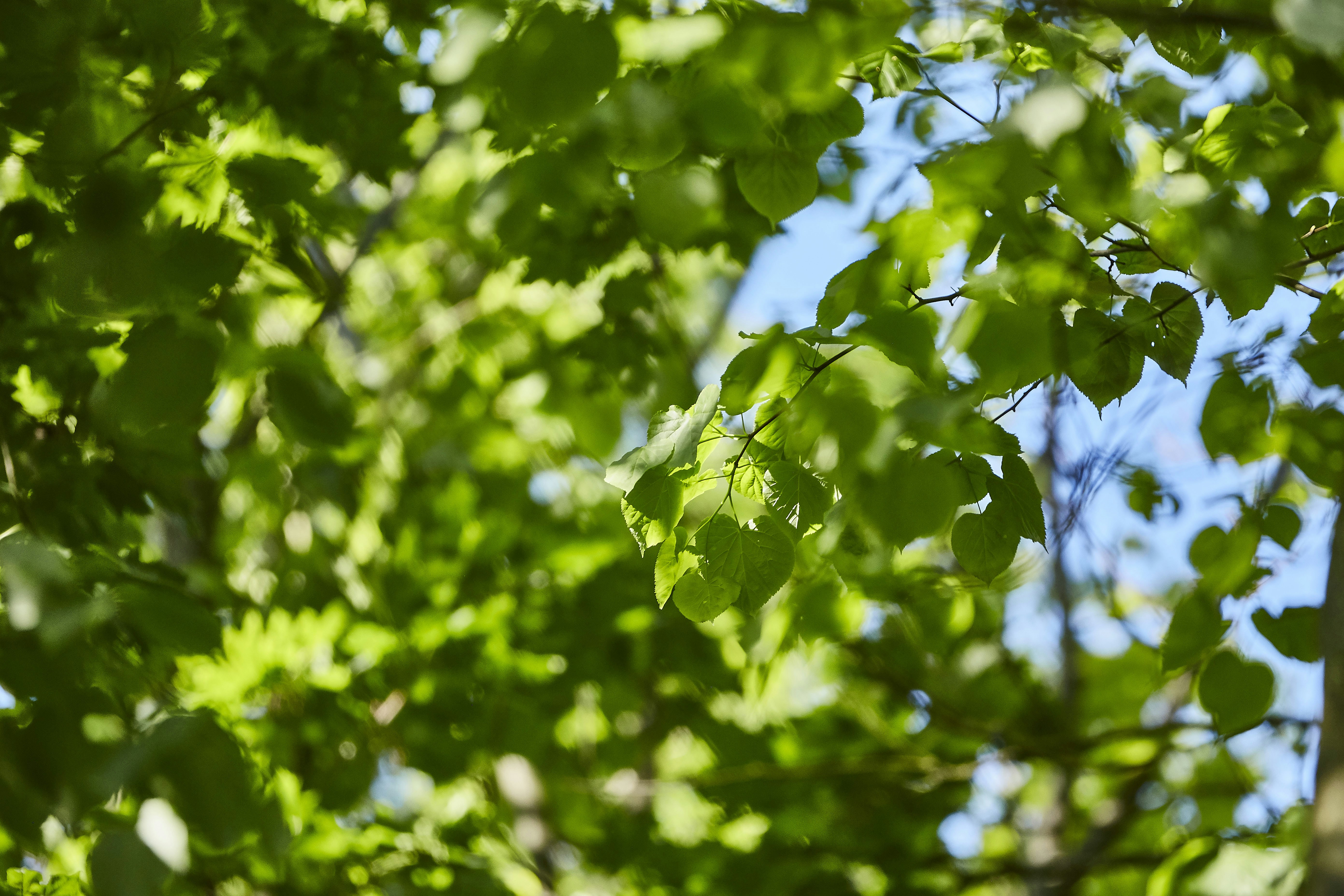 Photo by quadratmedia